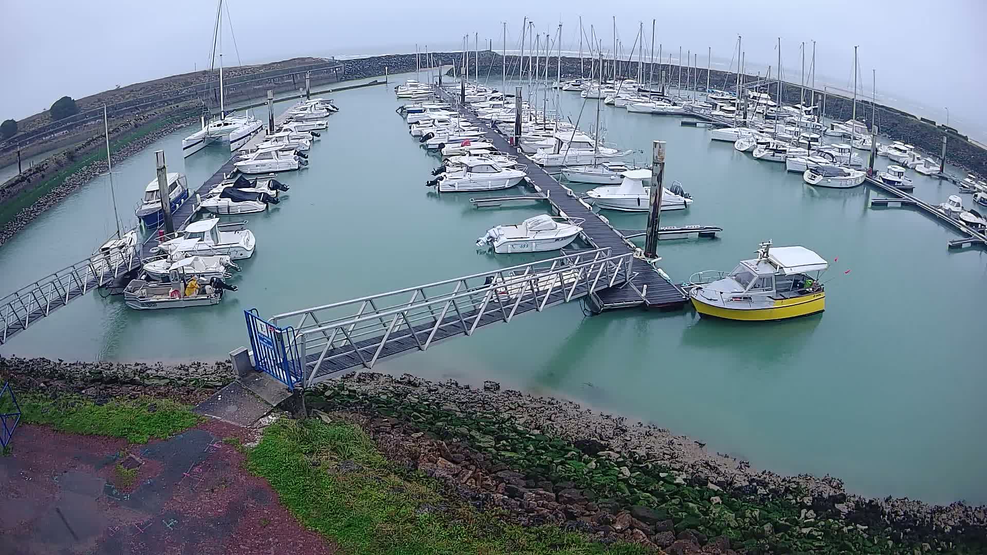 A marina filled with numerous boats of varying sizes, docked at piers, on a cloudy day.