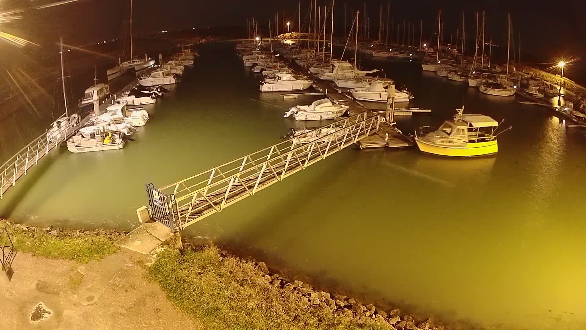 A marina at night, filled with numerous boats moored at docks, is illuminated by artificial lights, with calm, greenish water.