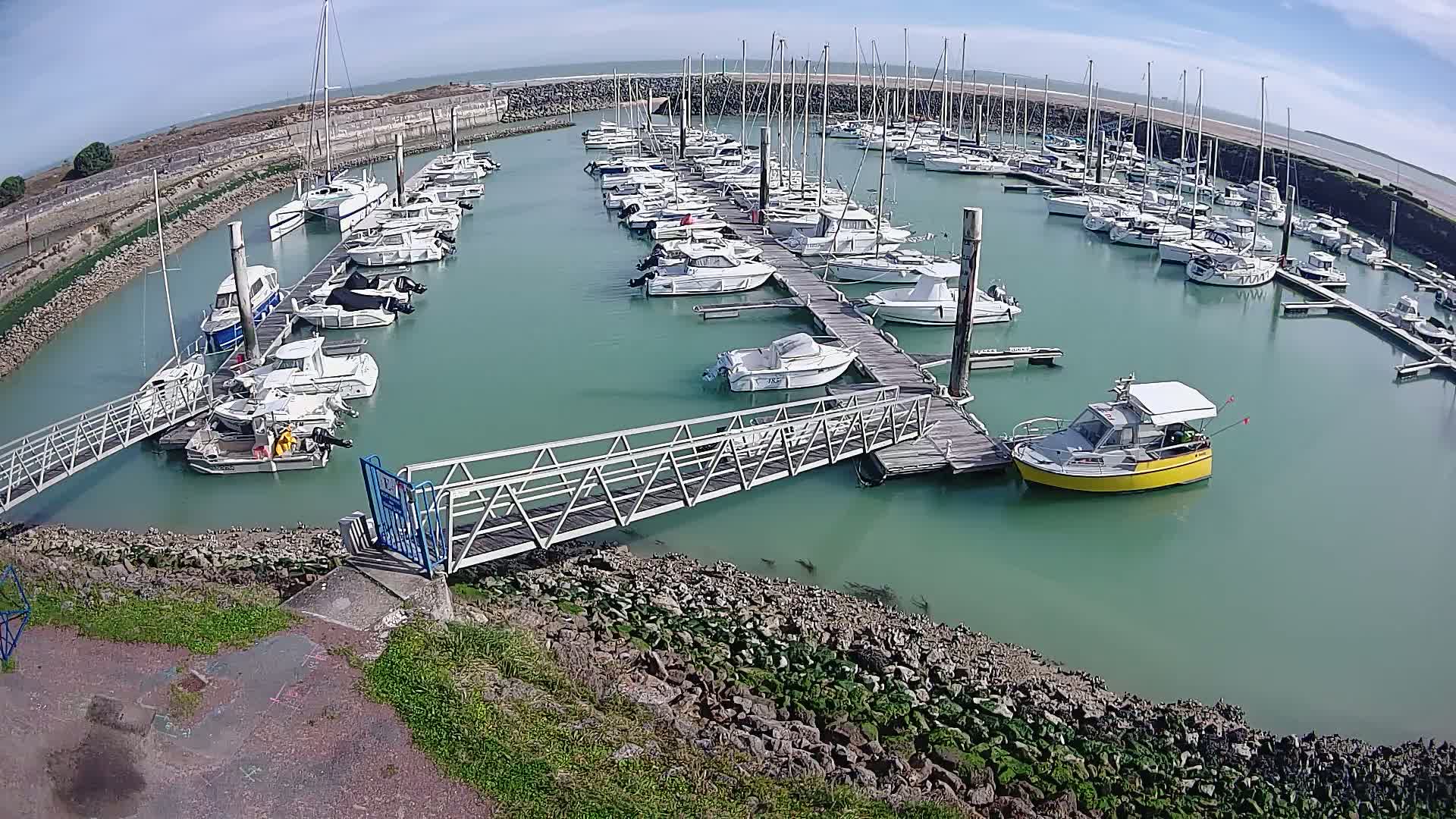 A marina filled with numerous sailboats and motorboats on a sunny day, with calm, light-green water.