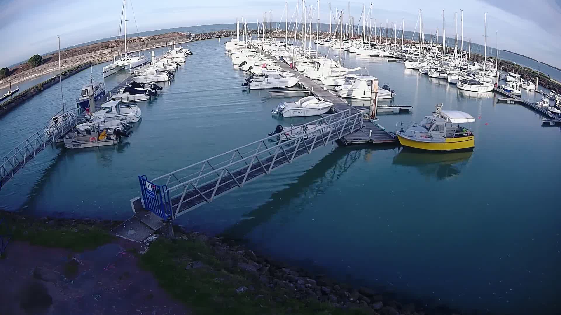 A marina filled with numerous sailboats and motorboats on a calm, clear day.