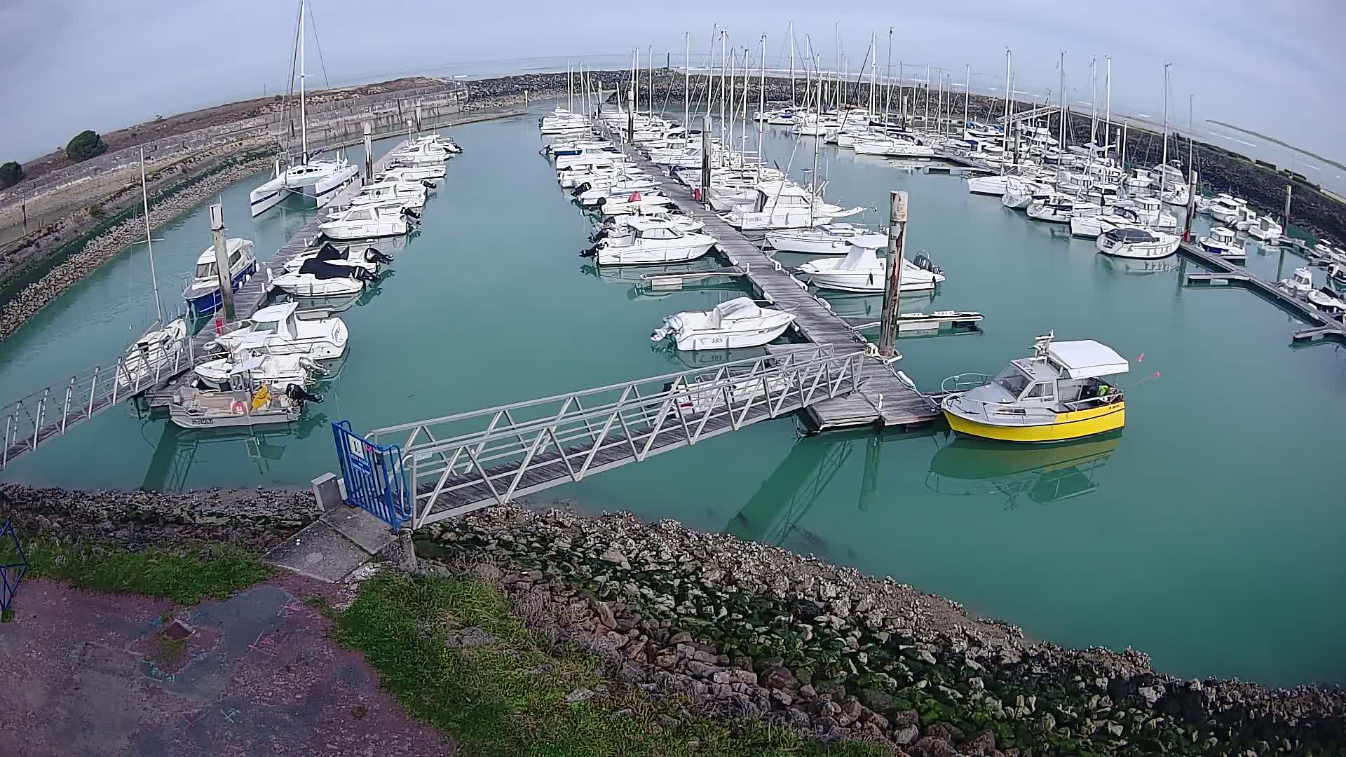 A marina filled with numerous boats of varying sizes, moored along wooden docks, on a calm, clear day.