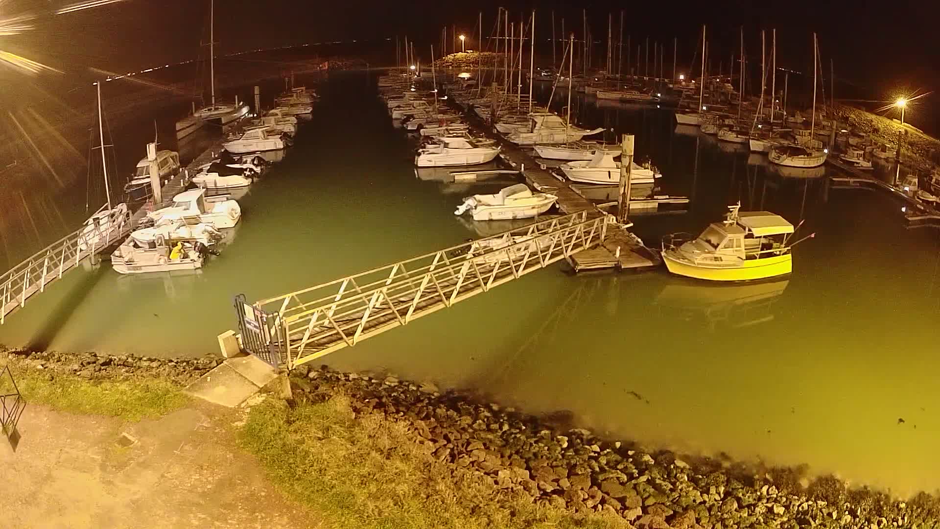A marina at night, filled with numerous boats docked along piers, is illuminated under artificial light, with calm, greenish water.