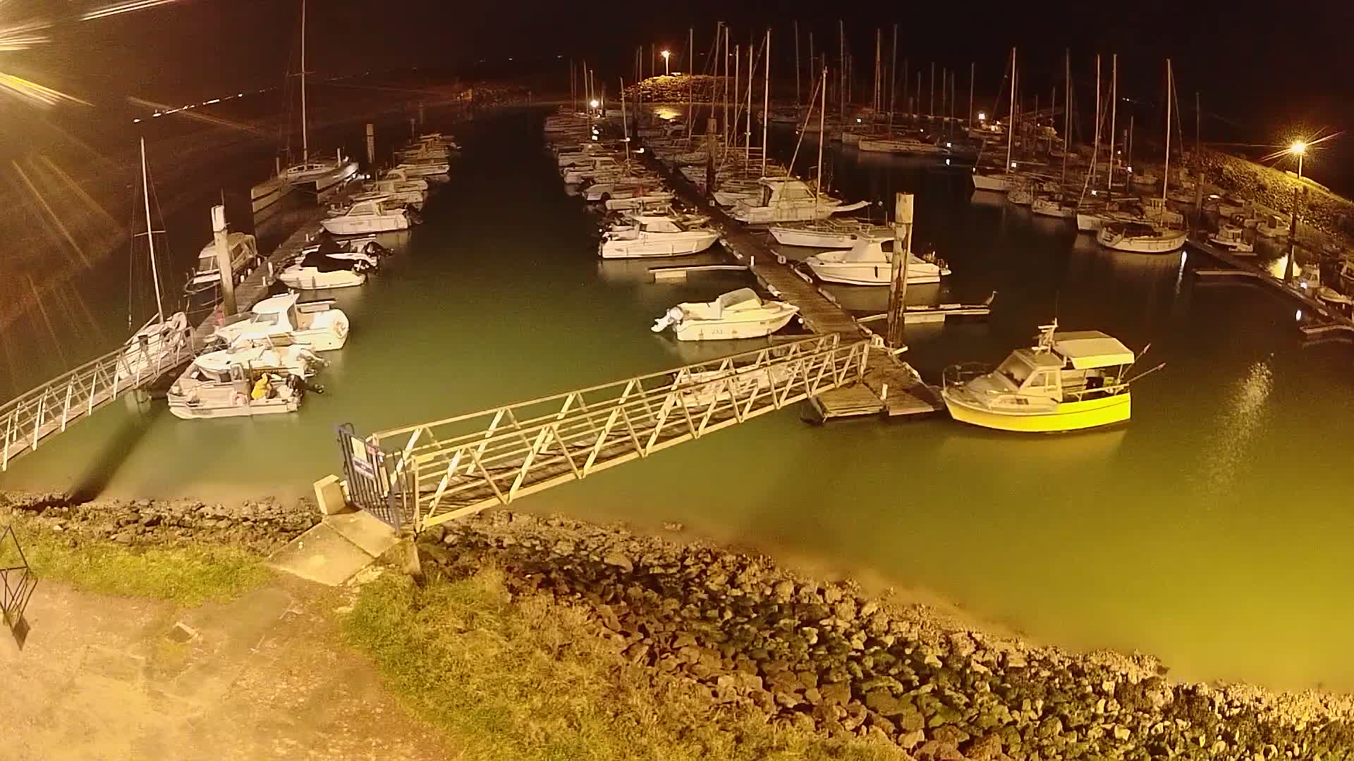 A marina at night, filled with numerous docked boats and illuminated by artificial light, shows calm, greenish water.