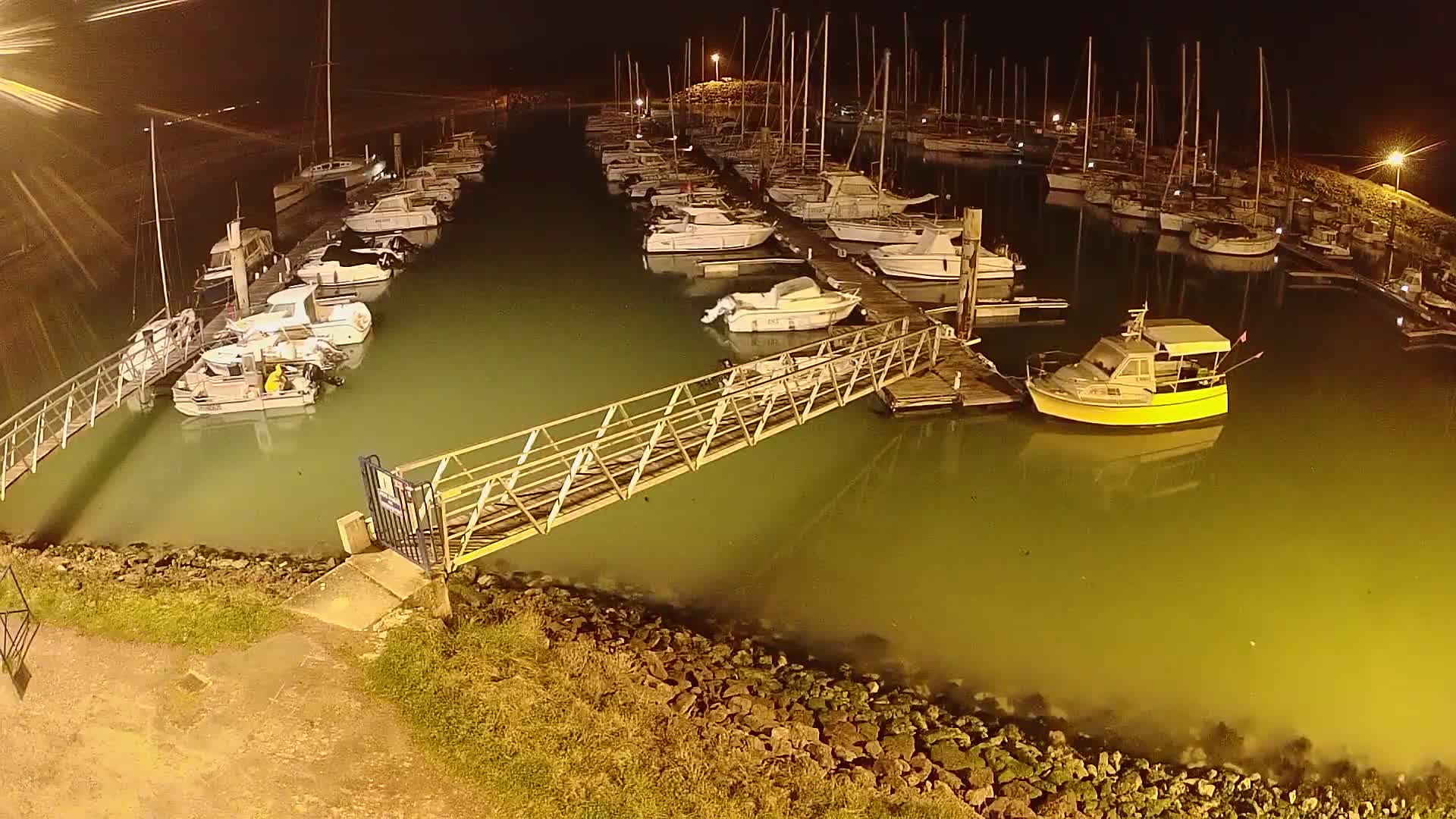 Many boats are moored at a marina at night, illuminated by artificial light, in calm, greenish water.