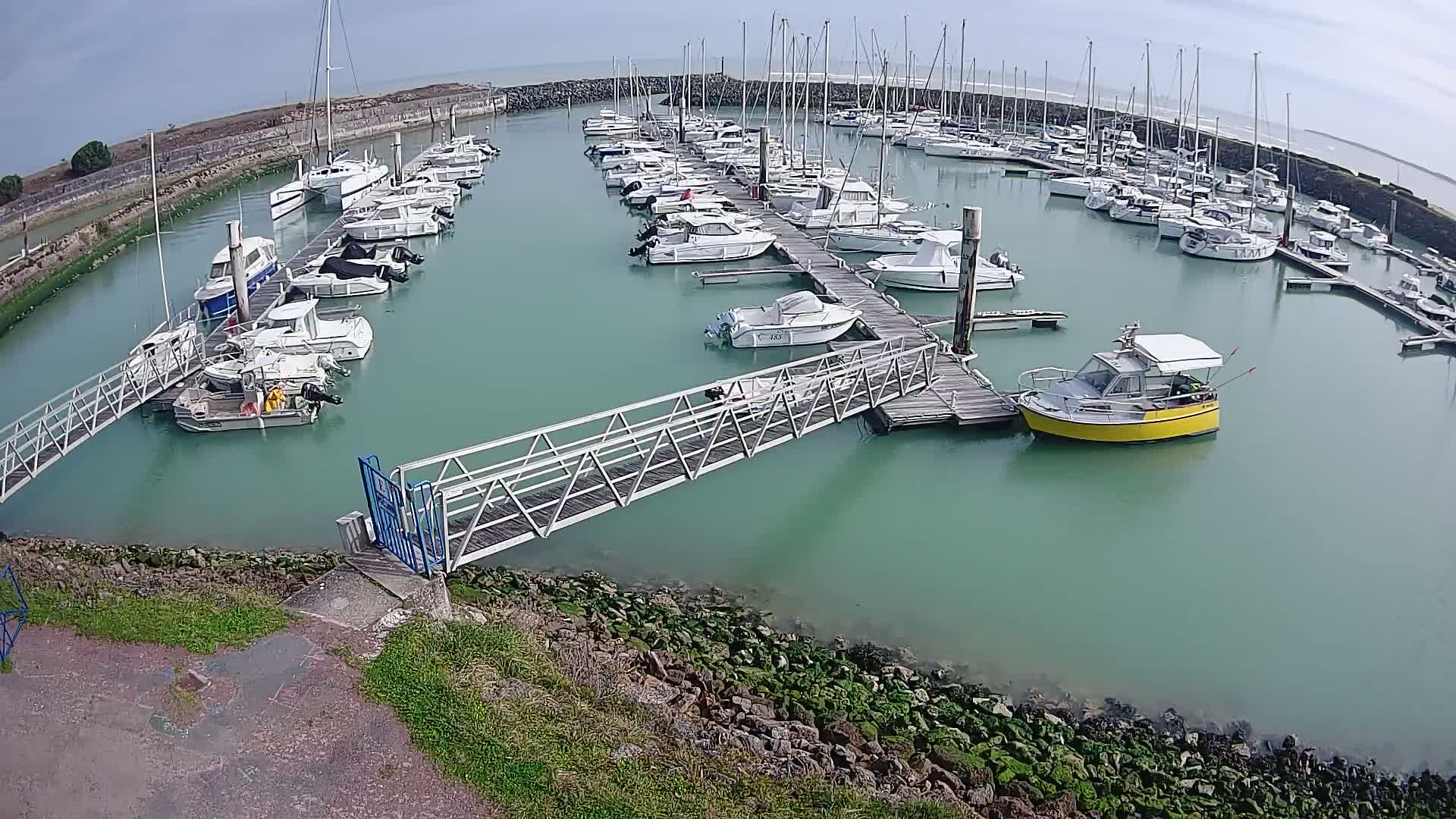 A marina filled with numerous sailboats and motorboats on a calm, overcast day.