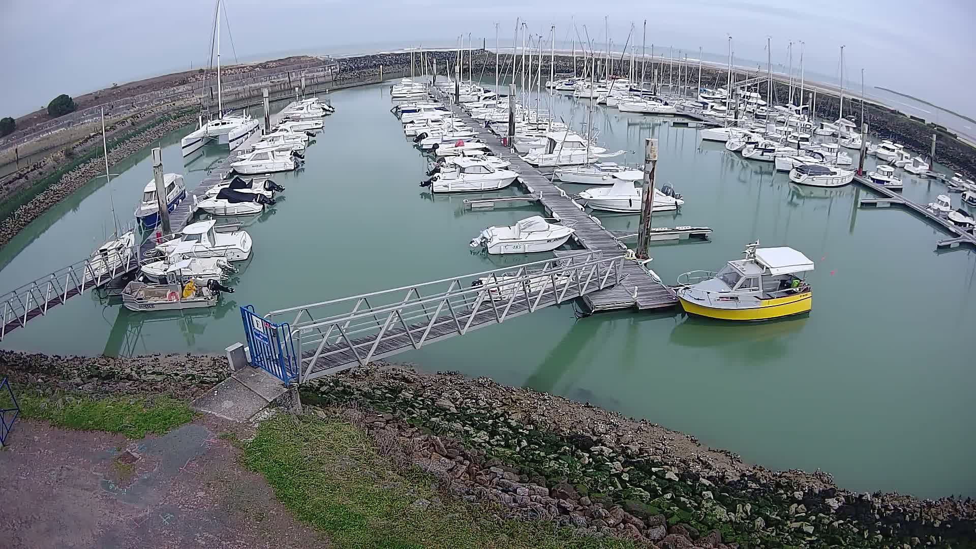 A marina filled with numerous boats of varying sizes on a calm, overcast day.