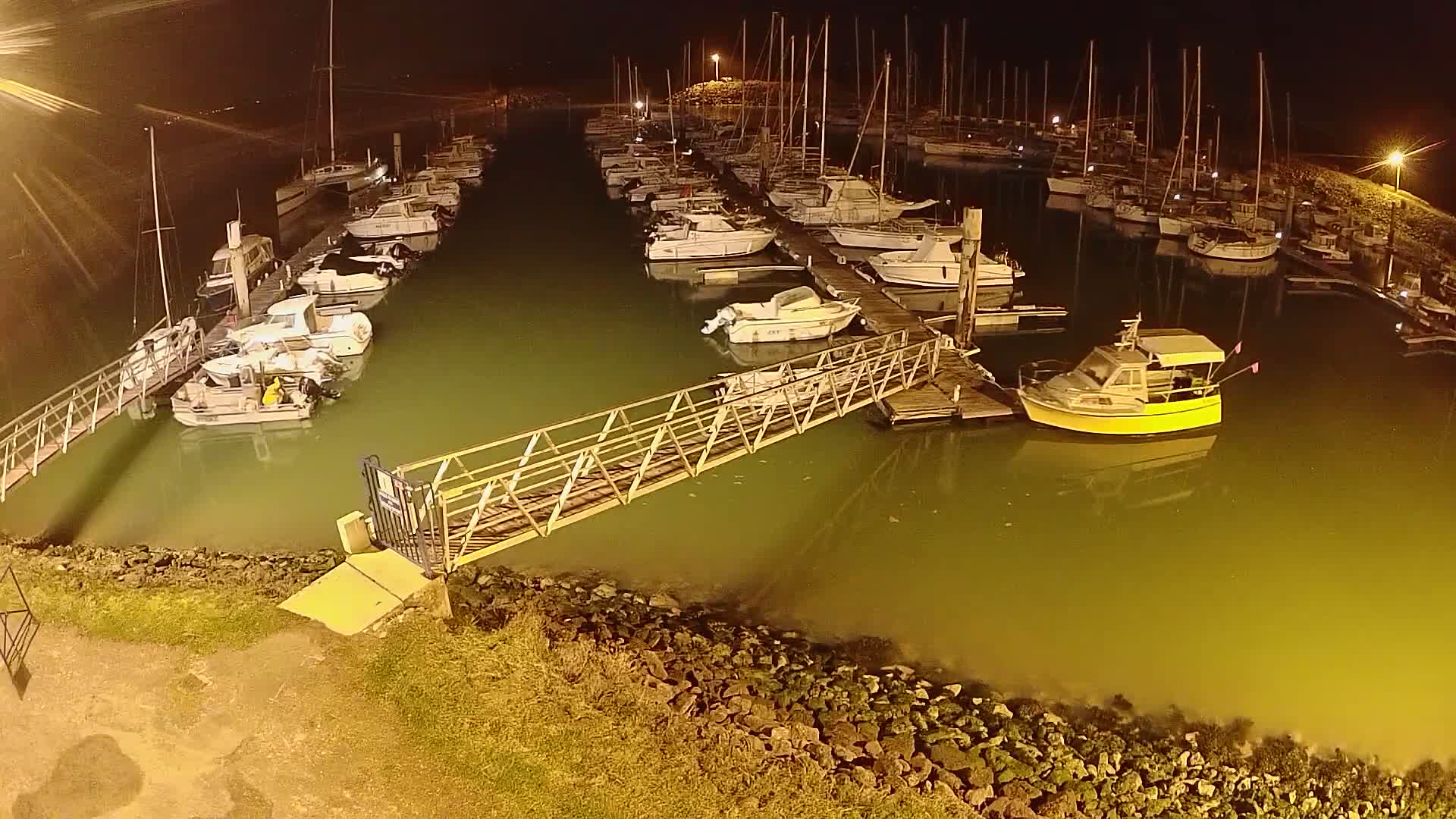 A marina at night, filled with numerous boats moored at docks, under calm, dark-green water.