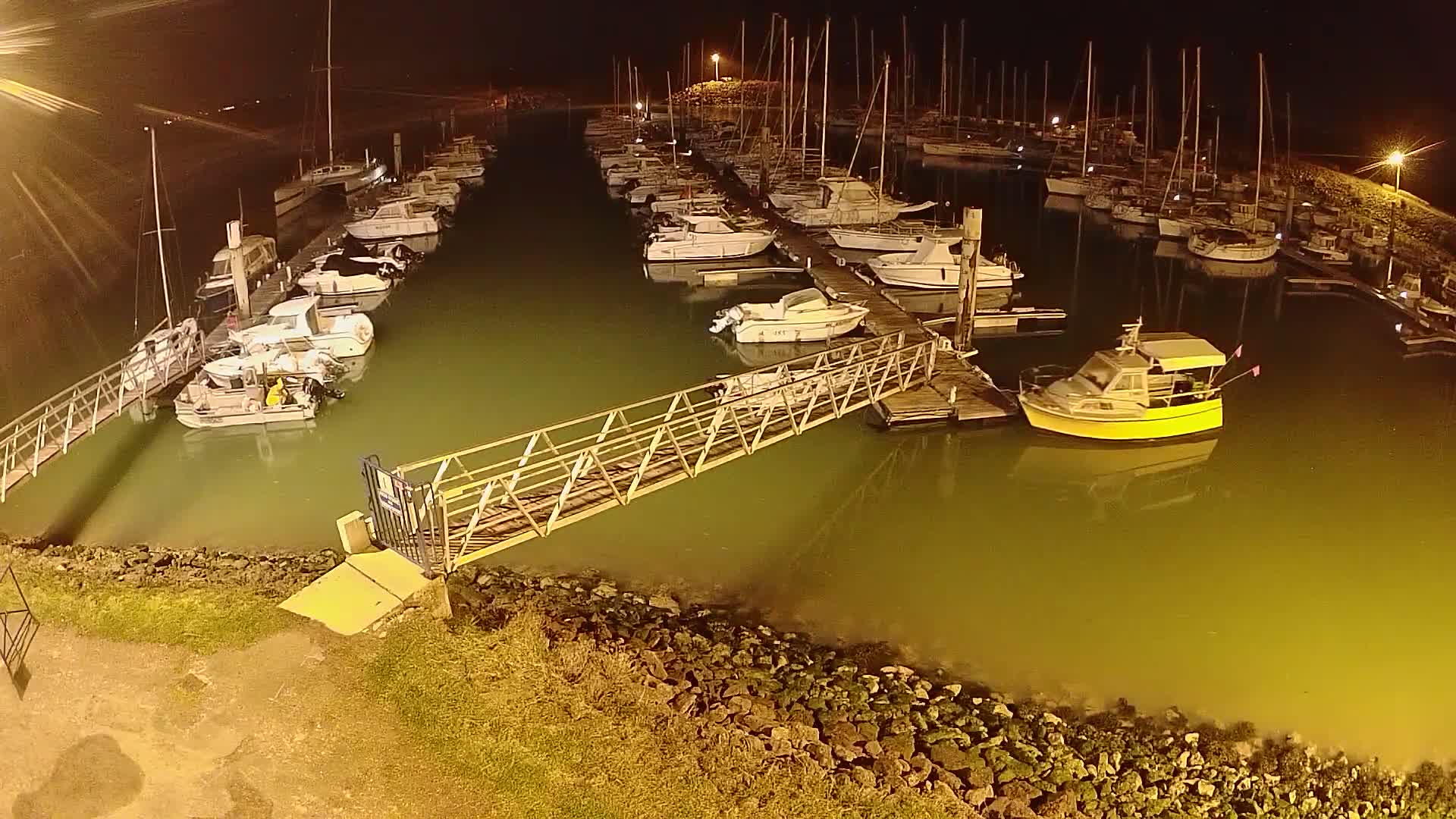 A marina at night with numerous boats docked along piers, illuminated by artificial light, the water appearing greenish.