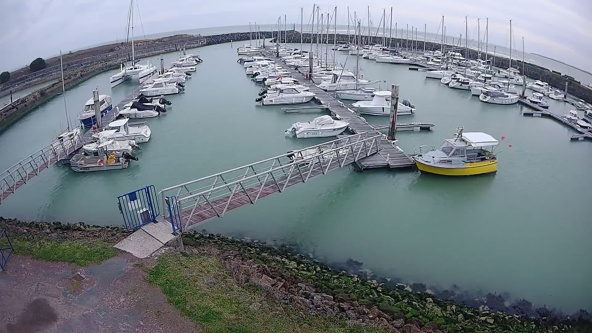 A marina filled with numerous boats of various sizes under an overcast sky.