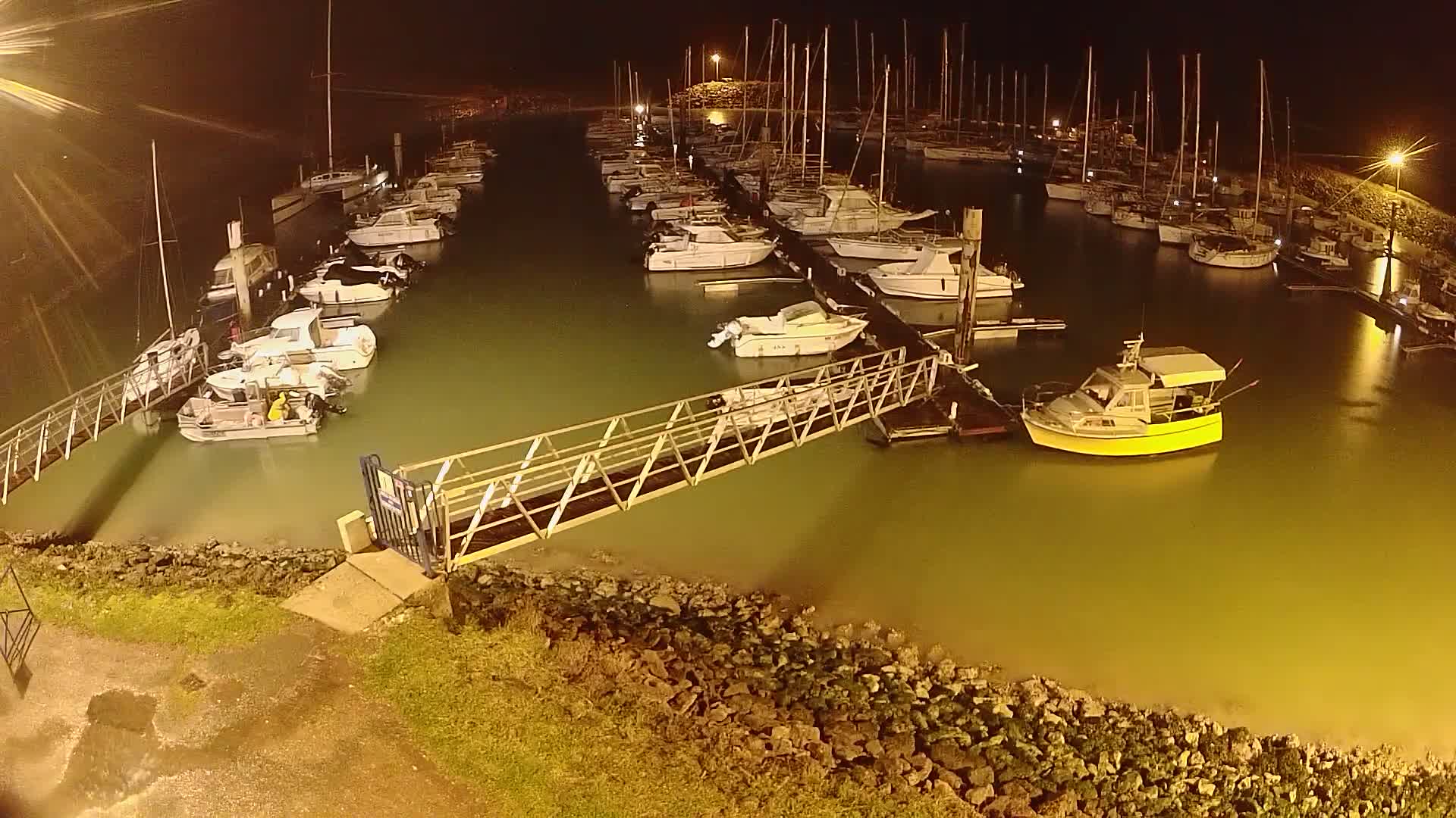 A marina at night, filled with numerous boats docked along piers, under calm, dark greenish water.