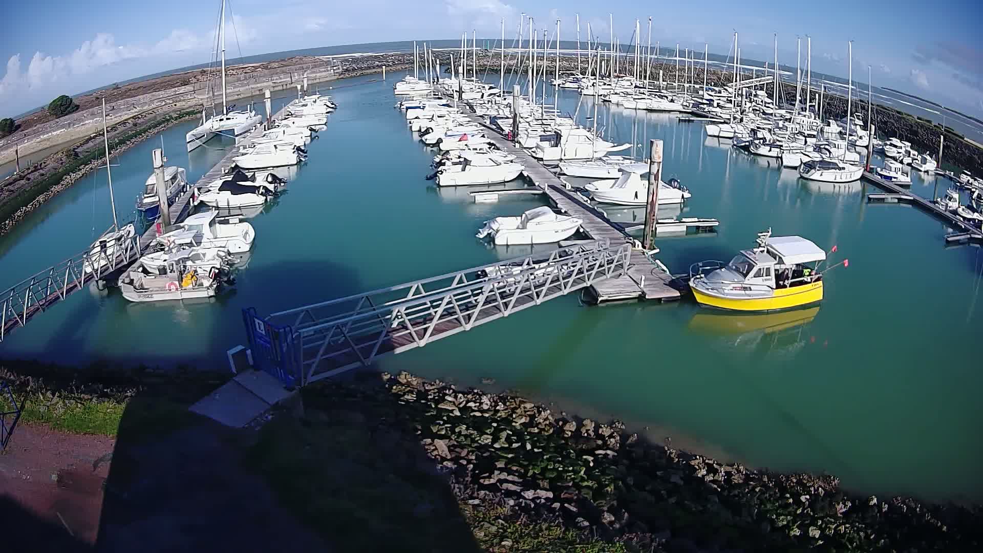Many sailboats and motorboats are docked in a marina on a sunny day with calm, teal-colored water.