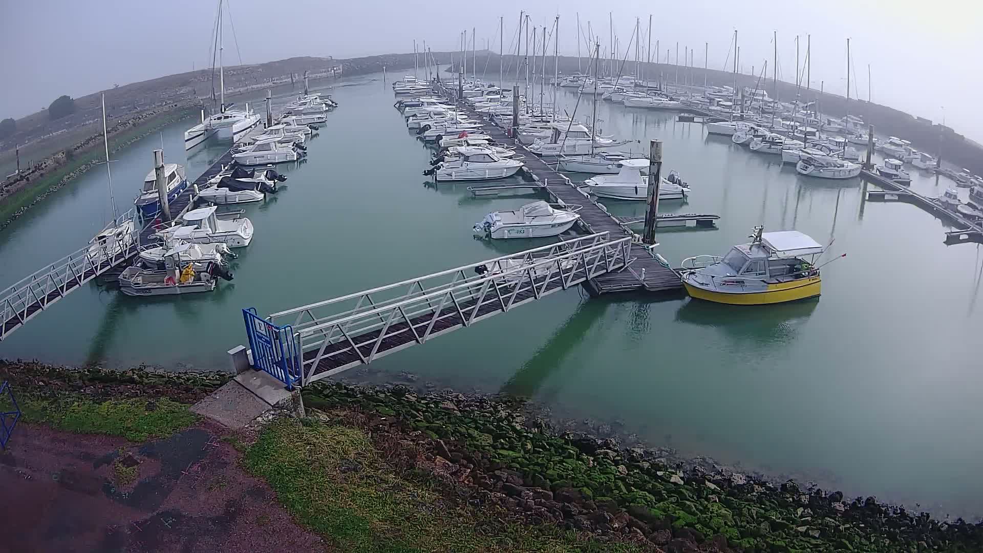 A marina filled with numerous sailboats and motorboats on a foggy day.