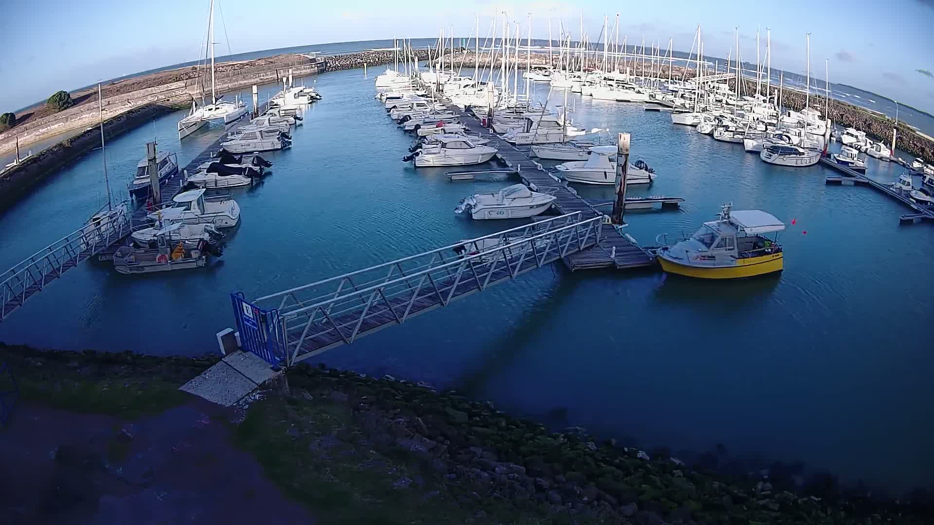 A marina filled with numerous sailboats and motorboats, under a clear blue sky, is seen from an elevated vantage point.