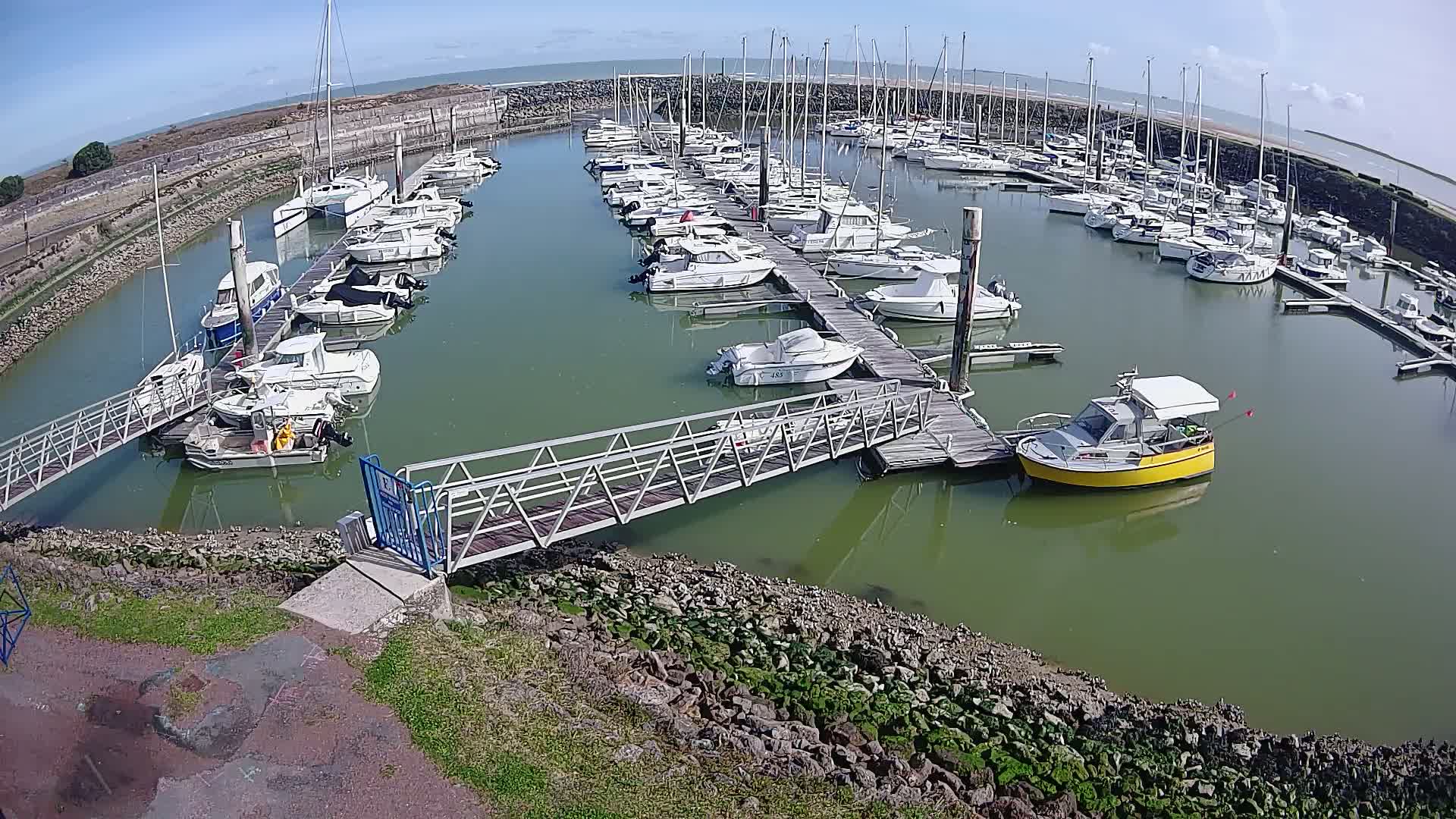 A marina filled with numerous boats on a sunny day, with calm, green-tinged water.