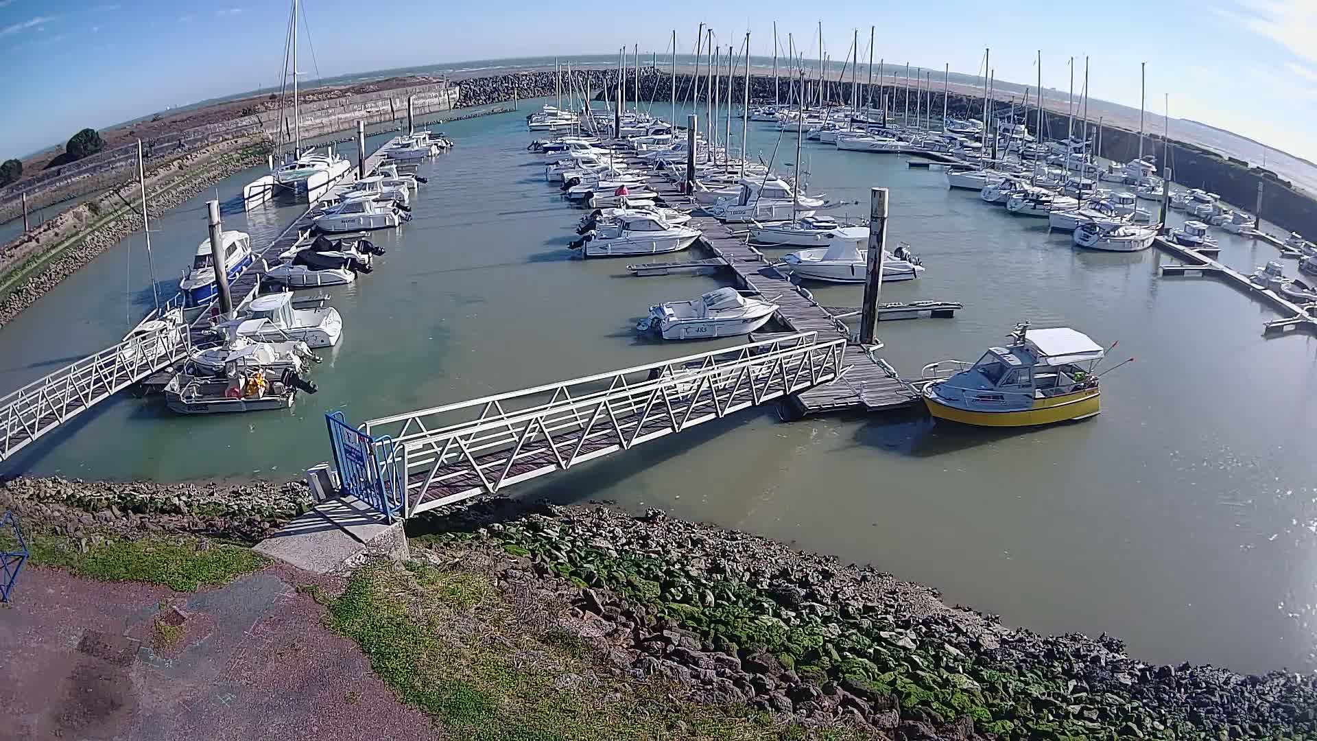 A marina filled with numerous sailboats and motorboats on a sunny day.