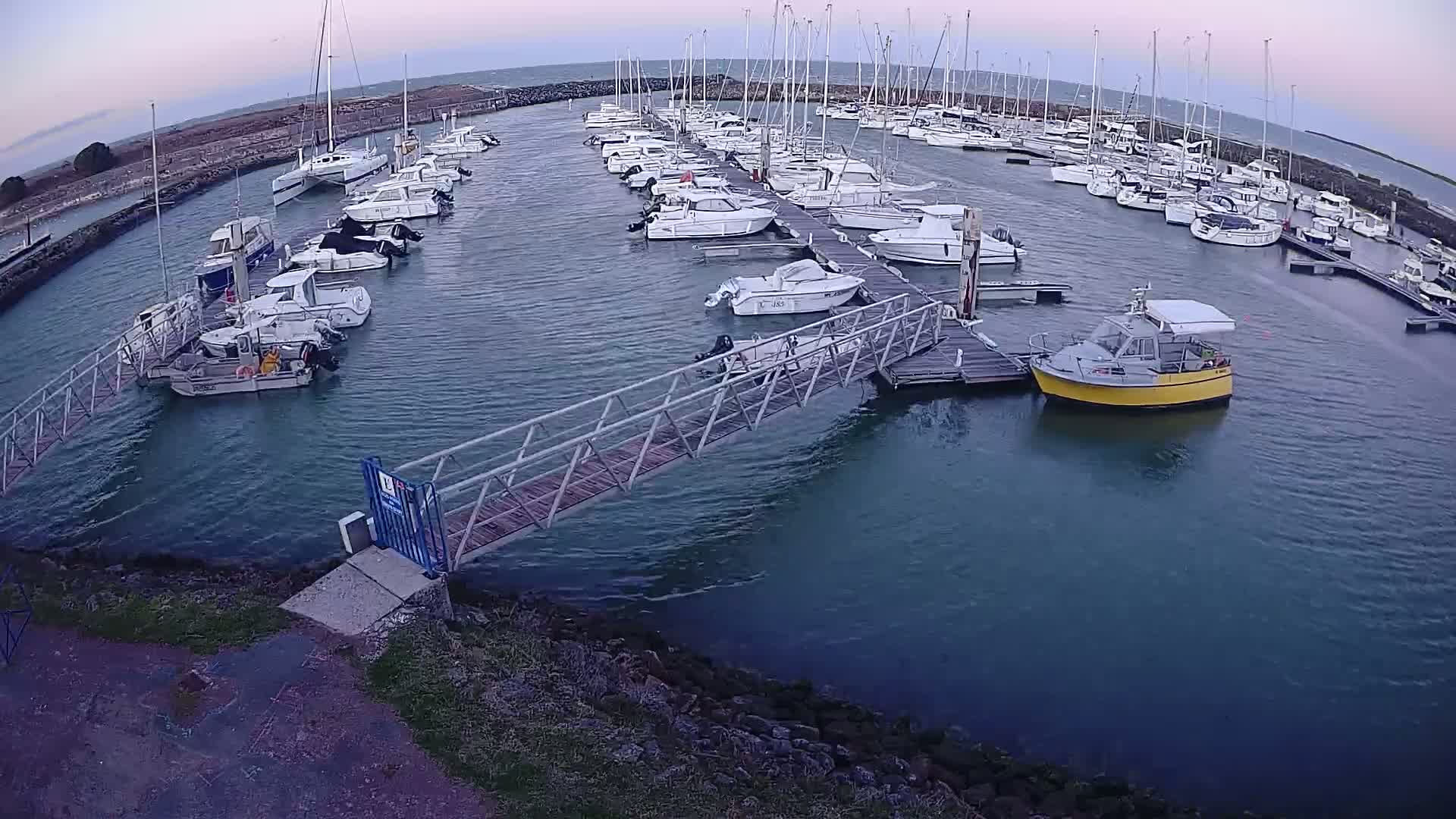 A marina filled with numerous boats of varying sizes under a calm, dusky sky.