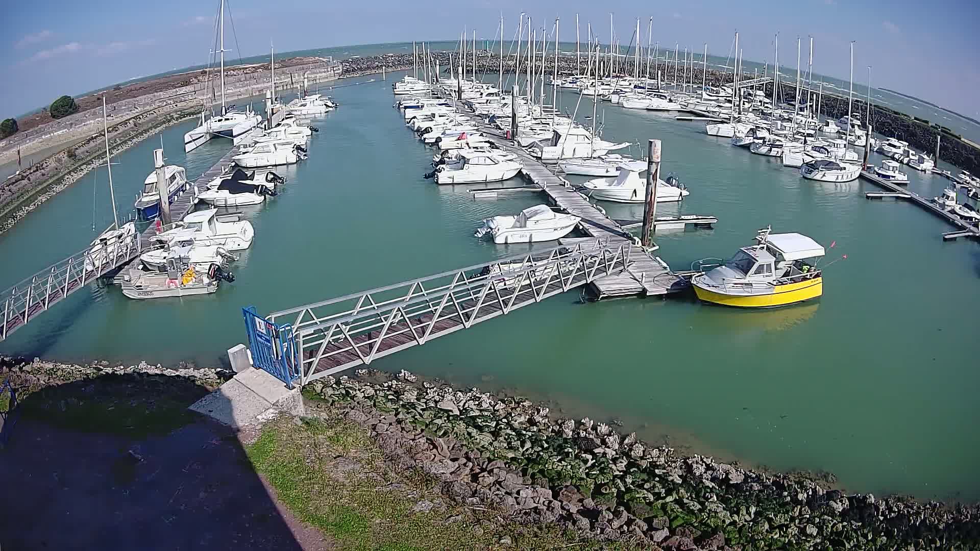A marina filled with numerous sailboats and motorboats on a sunny day, with a metal walkway leading to a dock.