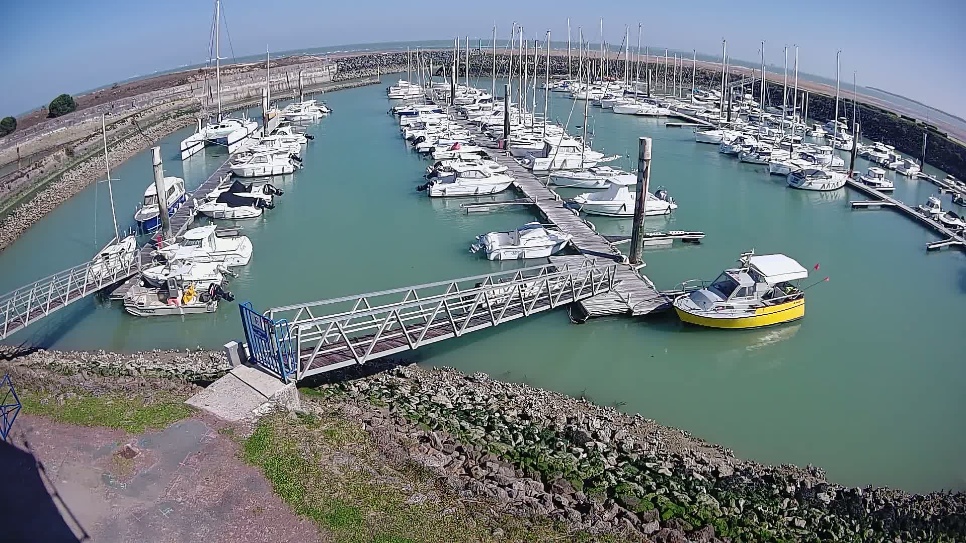 A marina filled with numerous sailboats and motorboats under a clear, sunny sky.
