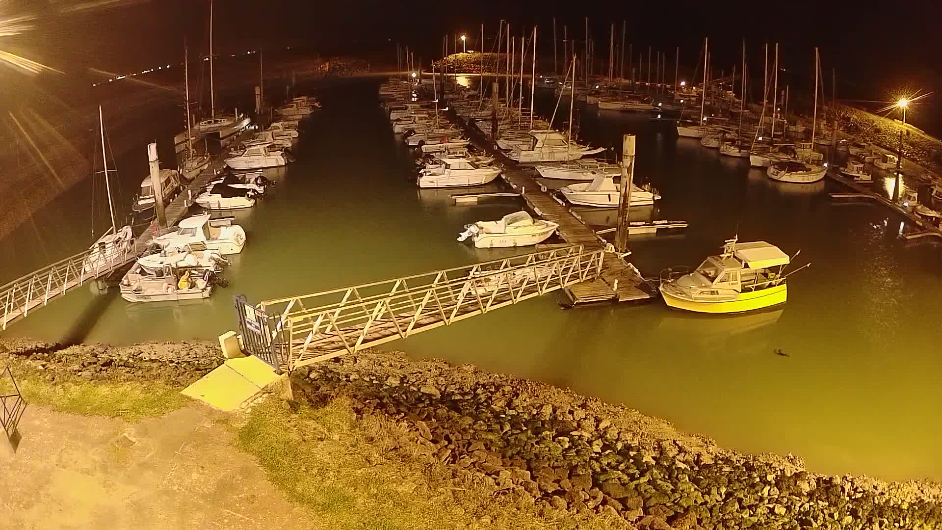 A marina at night filled with numerous boats moored at docks, illuminated by artificial lights, with calm, greenish-tinged water.