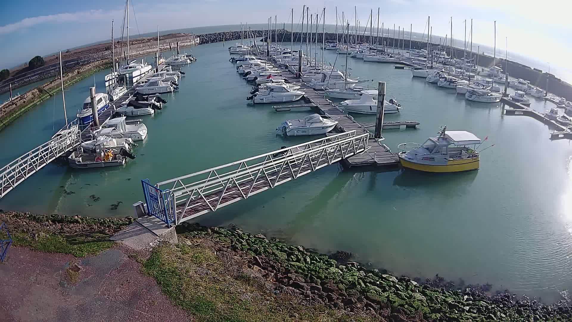 A marina filled with numerous boats of varying sizes on a calm, sunny day.