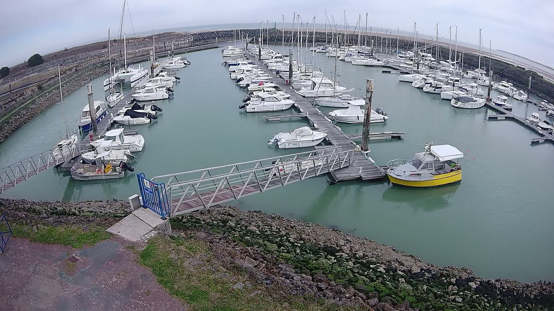 Numerous boats are docked in a marina on a cloudy day.