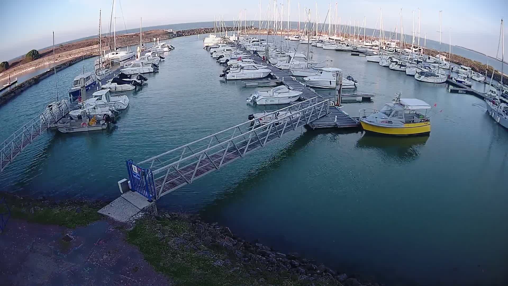 A marina filled with numerous sailboats and motorboats under a clear, calm sky.