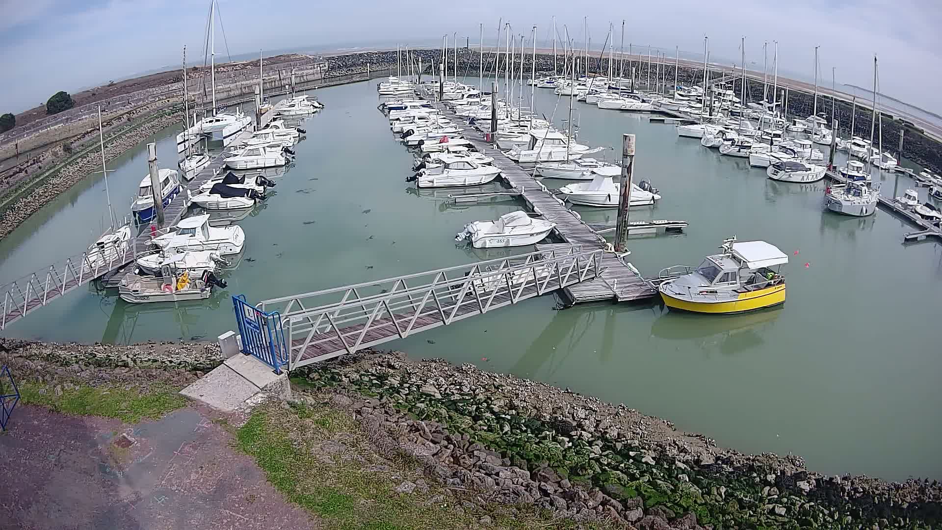 A marina filled with numerous boats on a calm, overcast day.