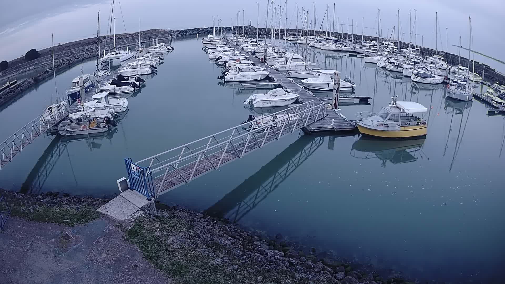 A marina filled with numerous sailboats and motorboats under an overcast sky.