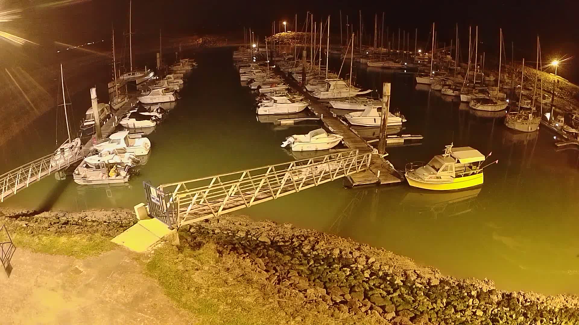 Many boats are docked at a marina at night, illuminated by artificial lights, in calm, greenish water.