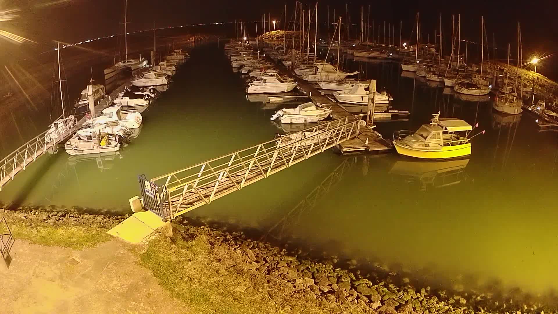 A marina at night, filled with numerous boats docked along piers, illuminated by artificial light, with calm, greenish-tinged water.