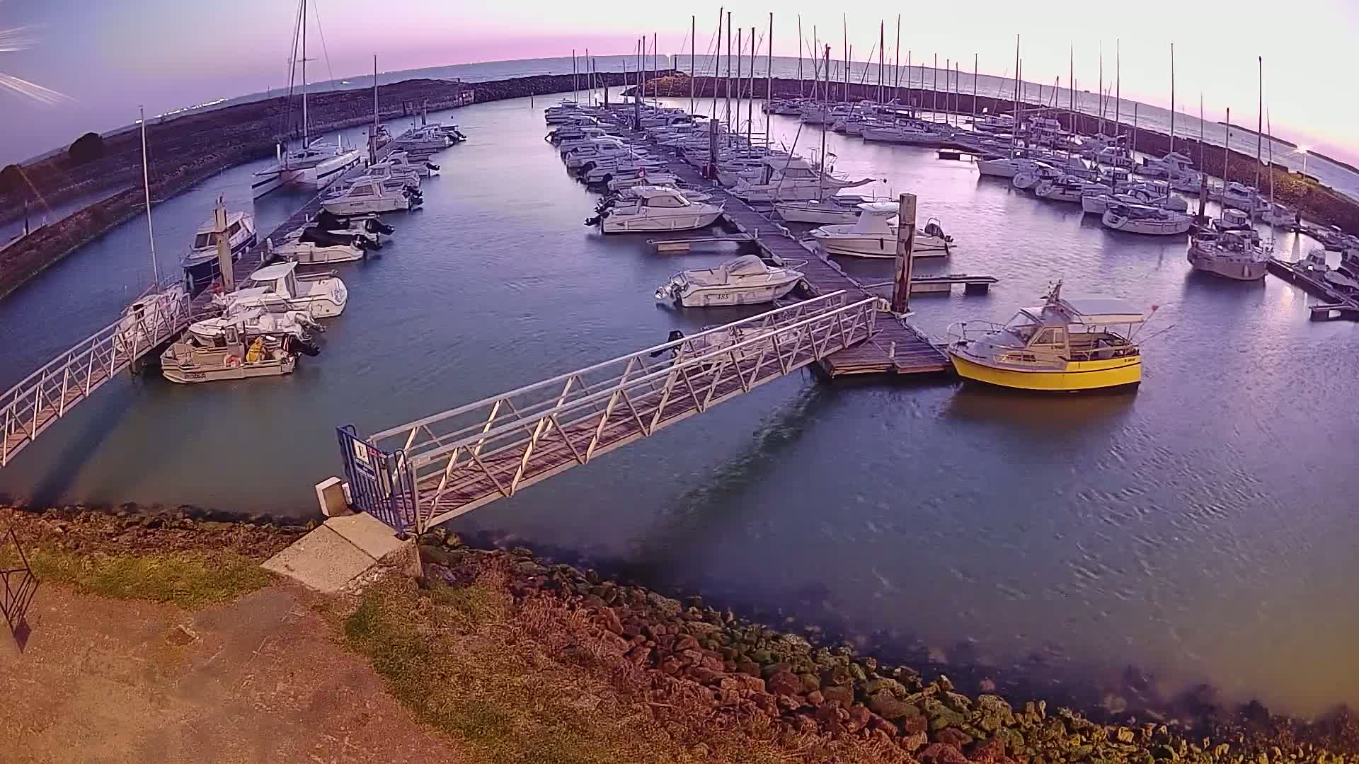 Many boats are docked at a marina under a calm, dusky sky.
