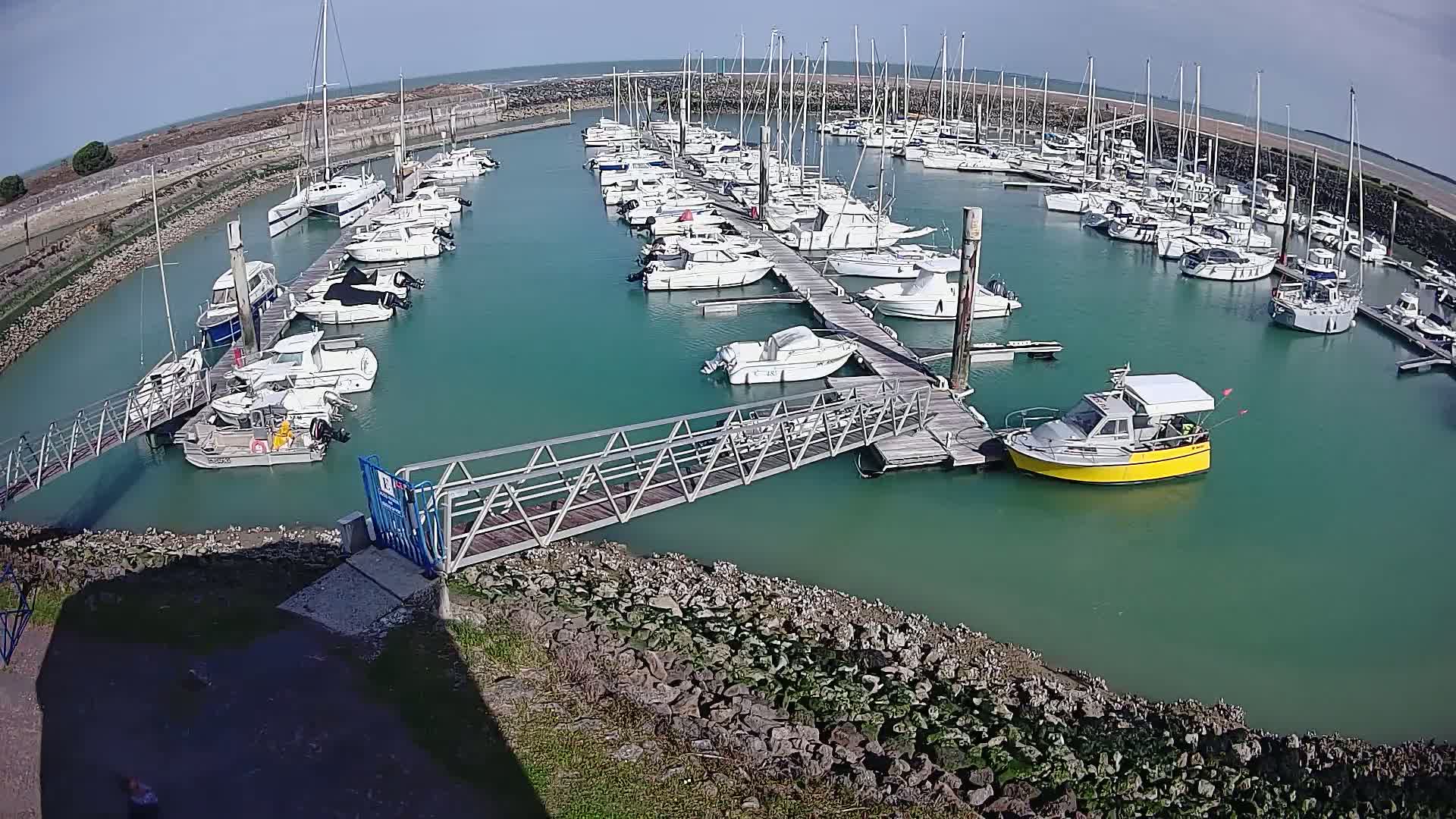 A marina filled with numerous sailboats and motorboats is seen on a sunny day, with a yellow motorboat near a metal walkway leading to a dock.
