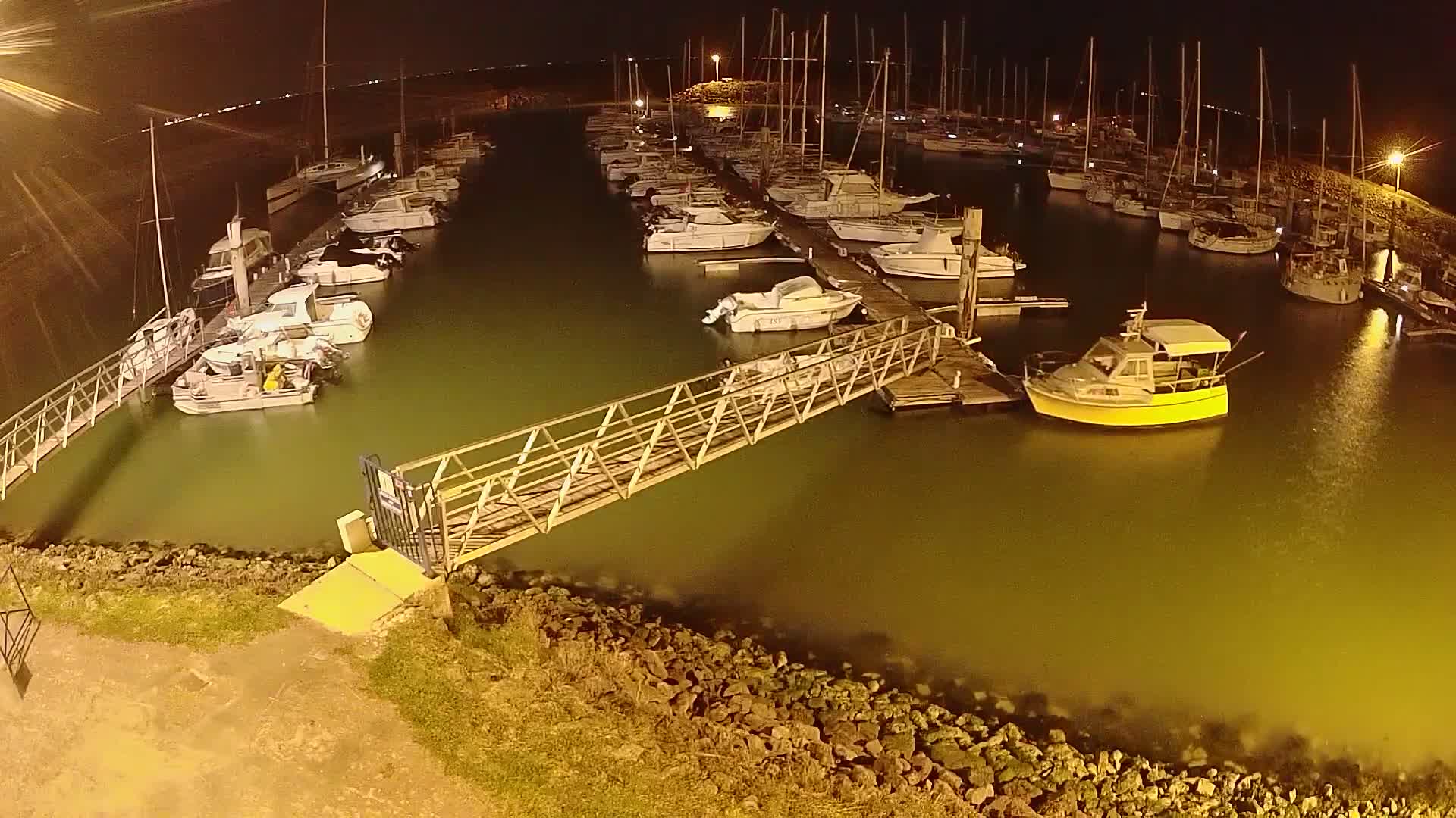 A marina at night with numerous boats docked along piers, lit by artificial light, with calm, murky water.