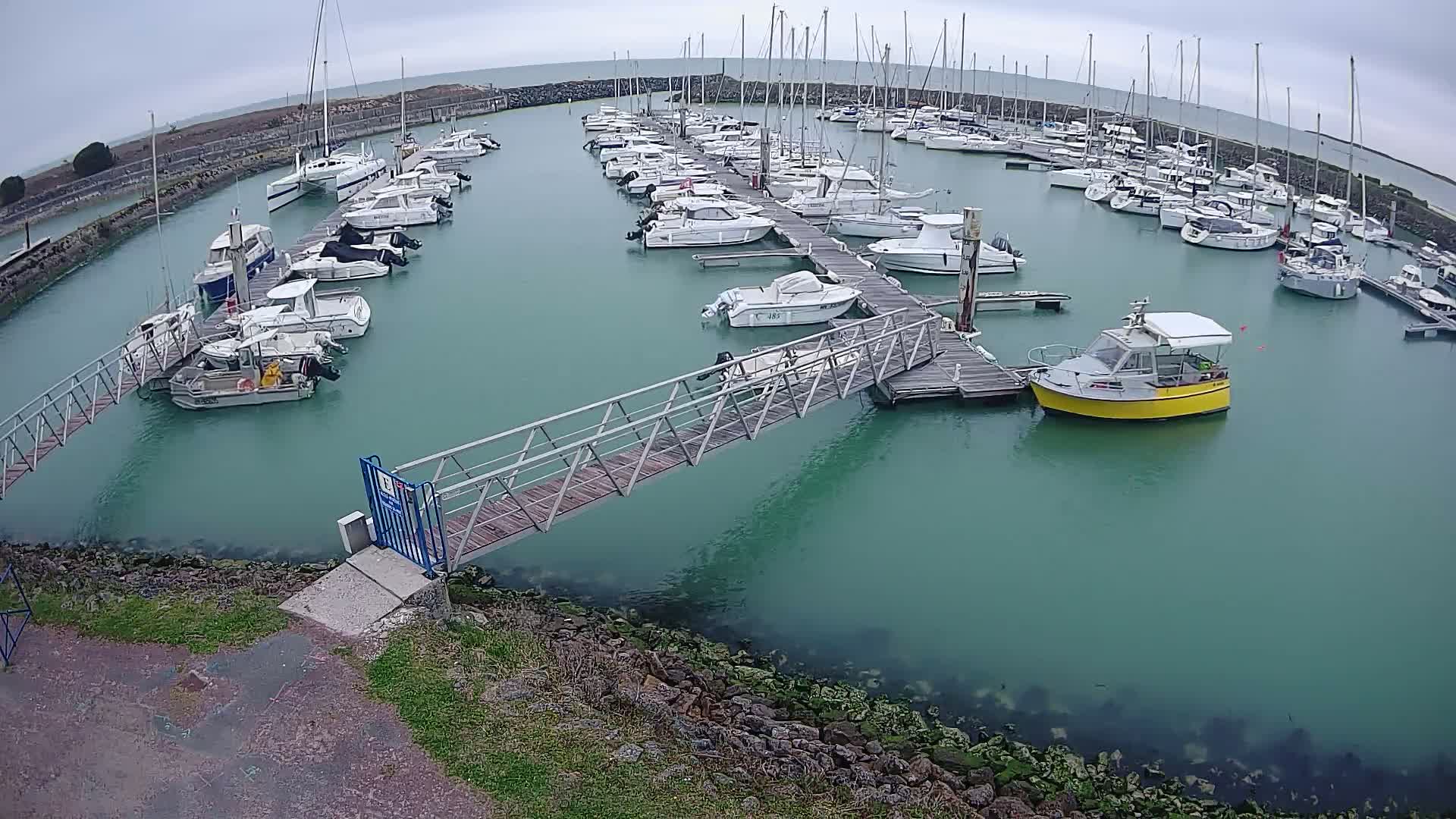 A marina filled with numerous boats of various sizes under an overcast sky, connected by a metal walkway.