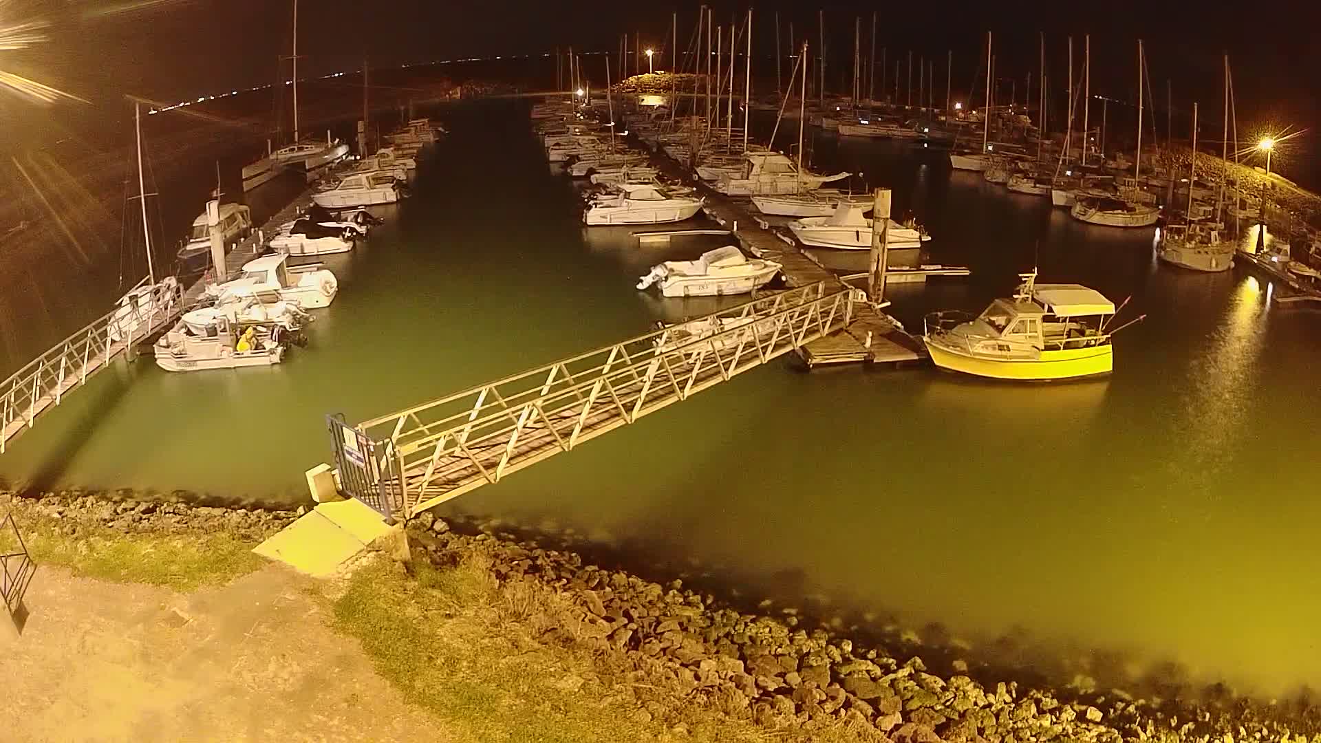 A marina at night with numerous boats docked along several piers, illuminated by artificial lights, and a metal walkway connecting the shore to one of the piers.