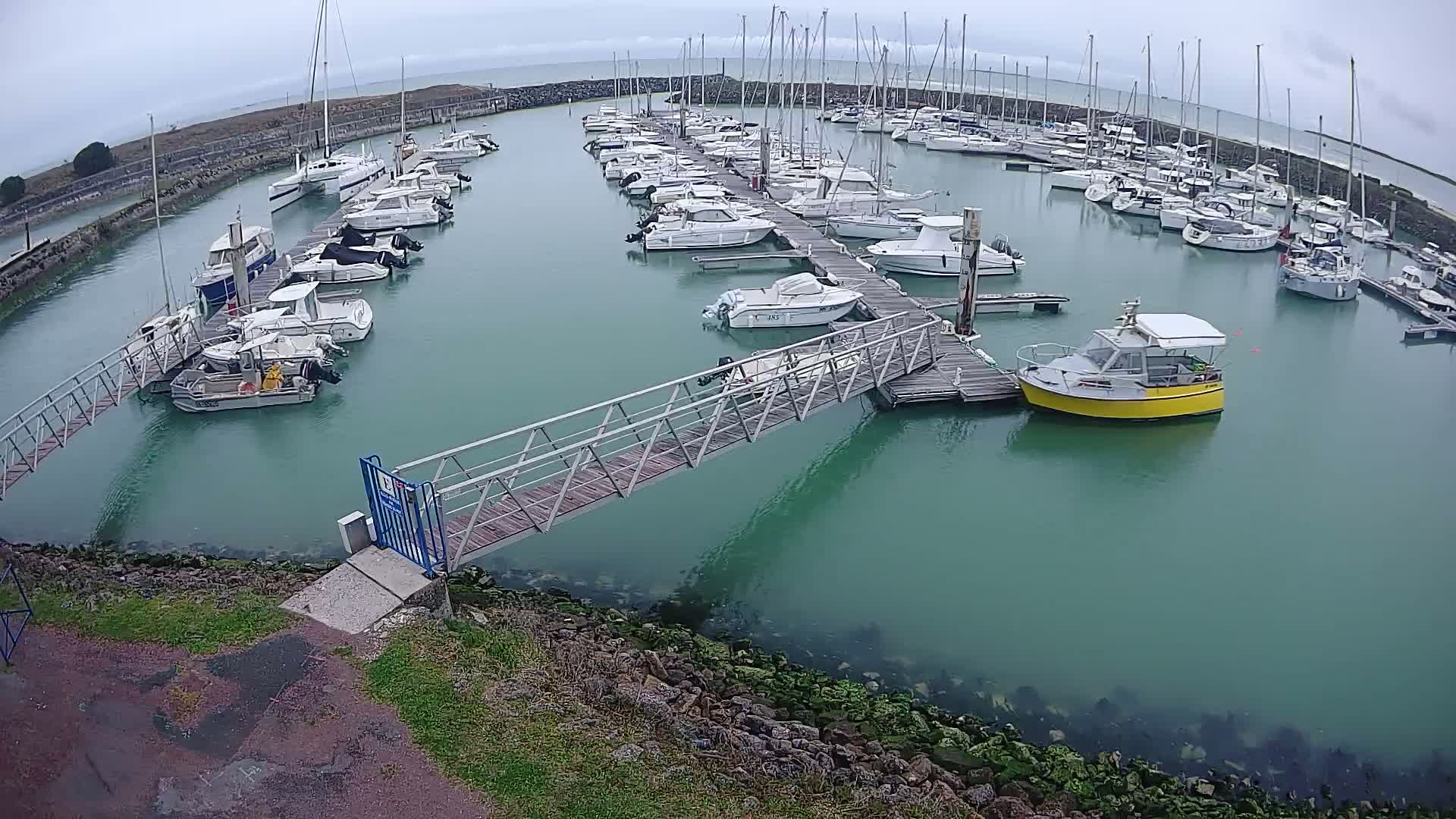 A marina filled with numerous boats of varying sizes on a cloudy day.