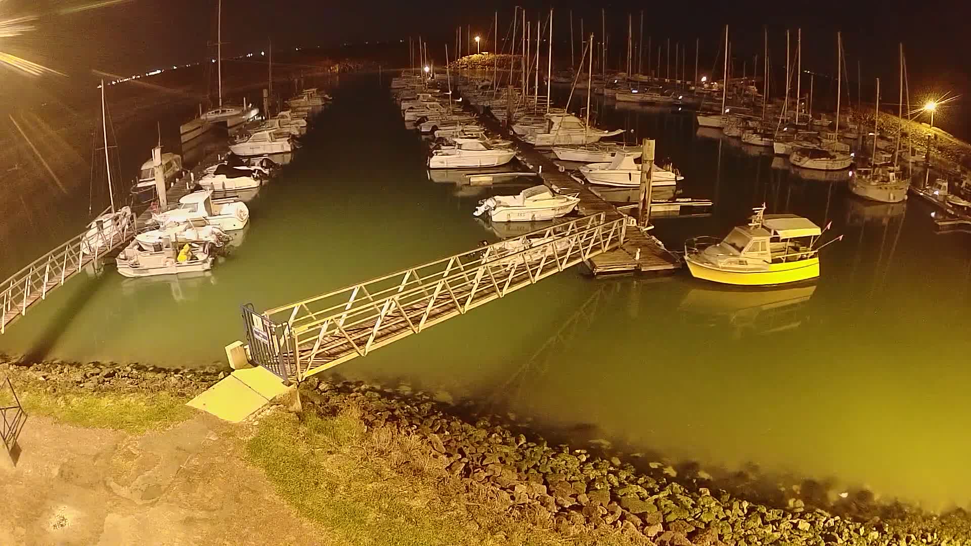 A marina at night, filled with numerous boats moored along docks, illuminated by artificial lights, with calm, greenish water.