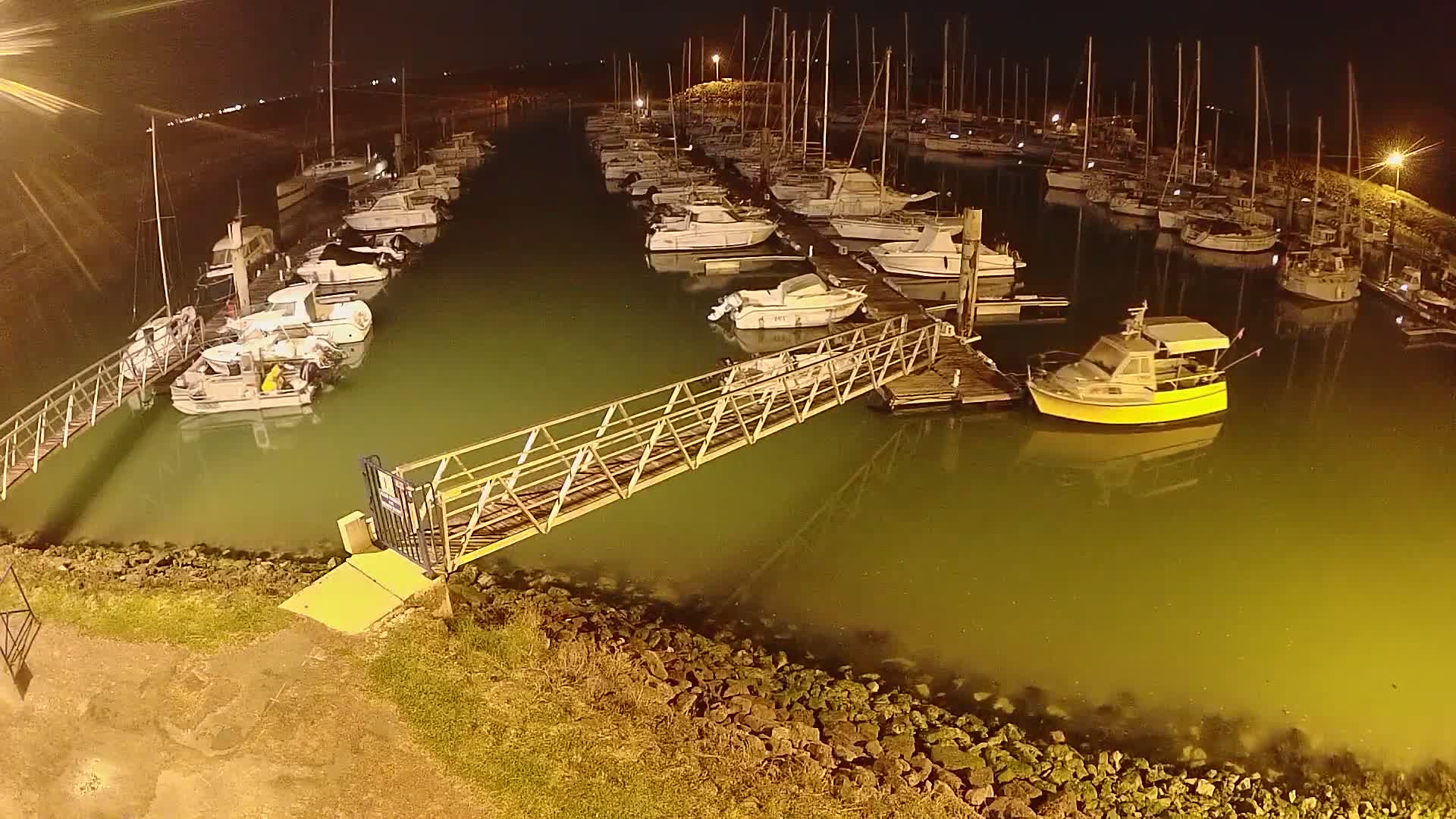 A marina at night with numerous boats docked, illuminated by artificial lights, and calm, greenish-colored water.
