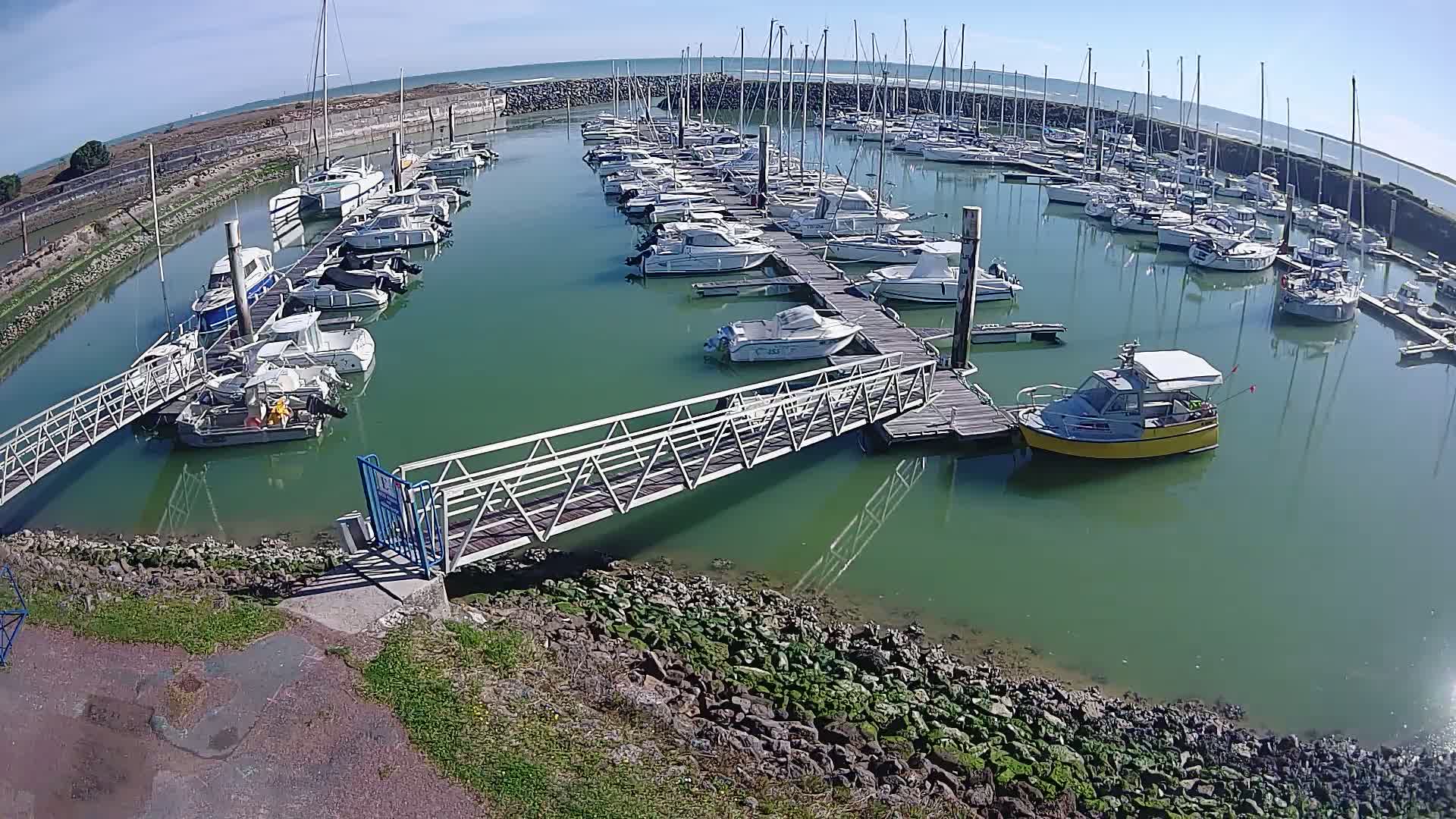 A marina filled with numerous sailboats and motorboats on a sunny day, with calm, green-tinged water.