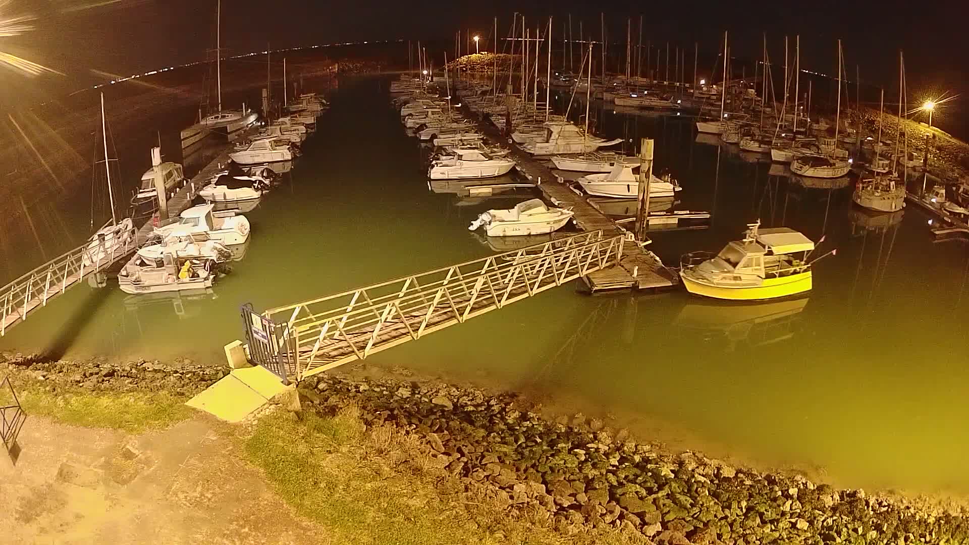 A marina at night, filled with numerous boats docked along piers, is illuminated with artificial light, and the water appears green.