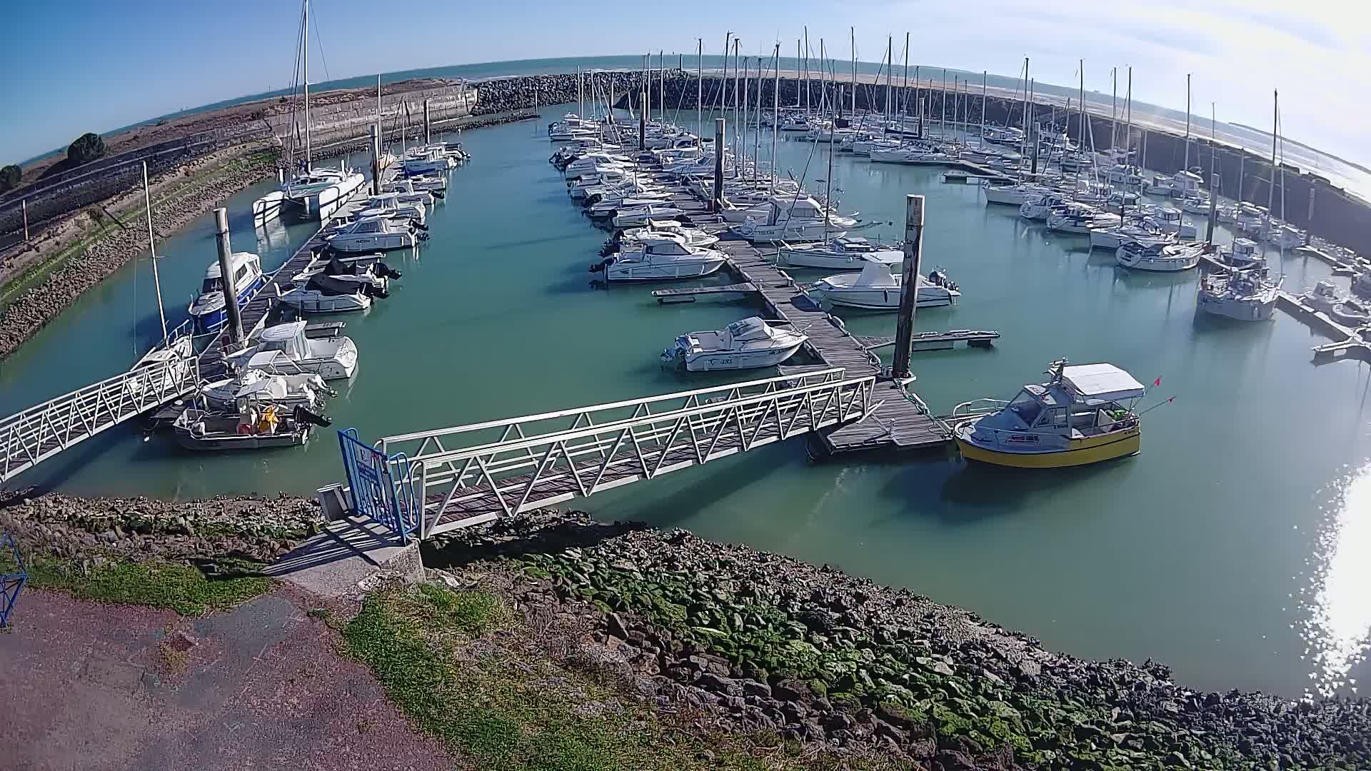 A marina filled with numerous boats of various sizes is docked along wooden piers on a sunny day with calm, greenish-blue water.