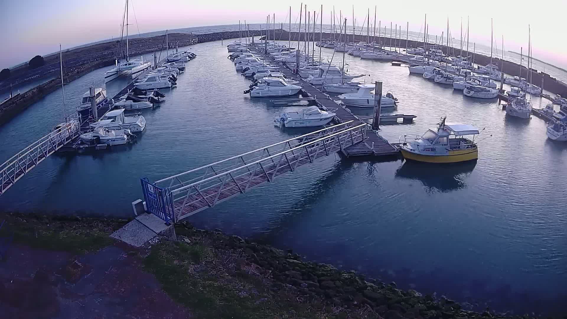 A marina filled with numerous boats of various sizes is shown under a calm, dusky sky.