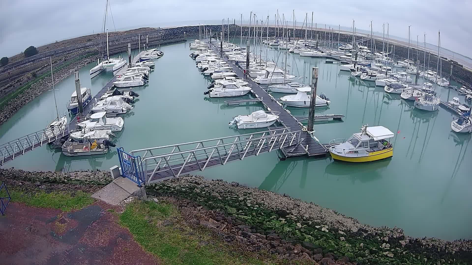 A marina filled with numerous boats of various sizes, under an overcast sky, is seen from an elevated vantage point.