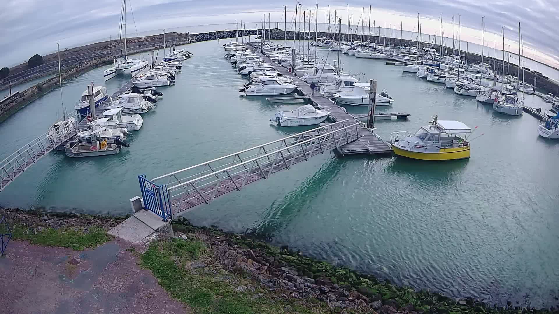 A marina filled with numerous boats of varying sizes under an overcast sky, with a small walkway leading to a dock.