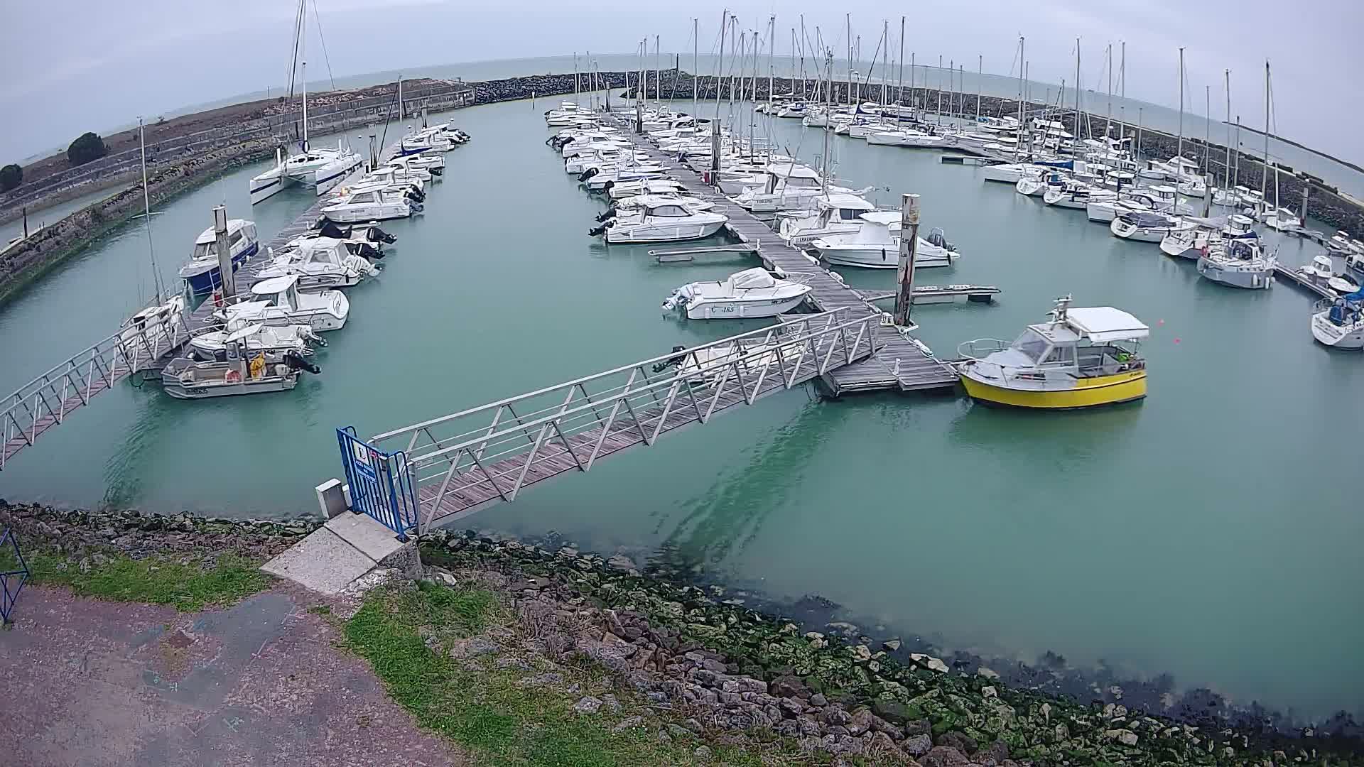 A marina filled with numerous white boats on a cloudy day, with a small yellow boat and a metal walkway leading to the shore.