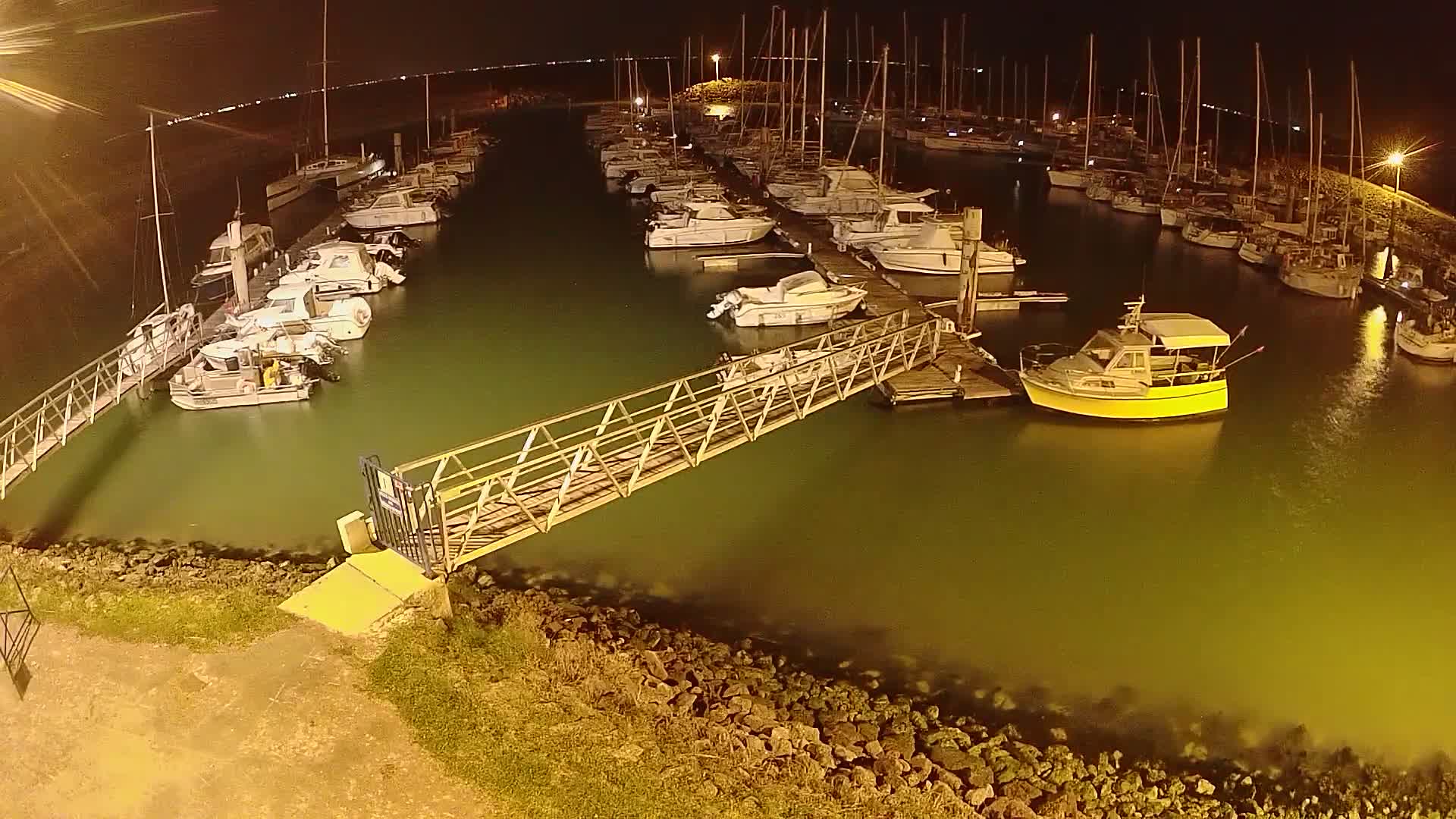 A marina at night filled with numerous boats docked along piers, illuminated by artificial lighting, with calm, greenish water.