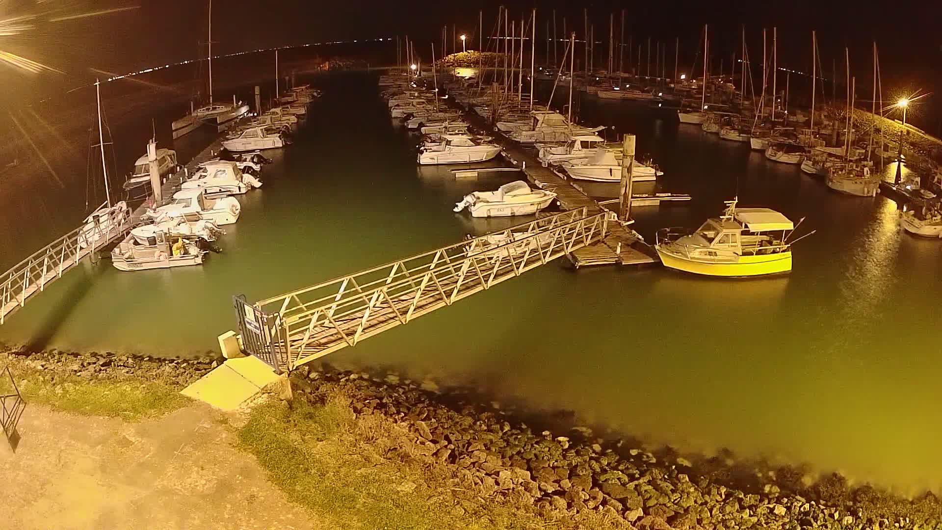 A marina at night, filled with numerous boats moored at docks, illuminated by artificial lights, with calm, greenish water.