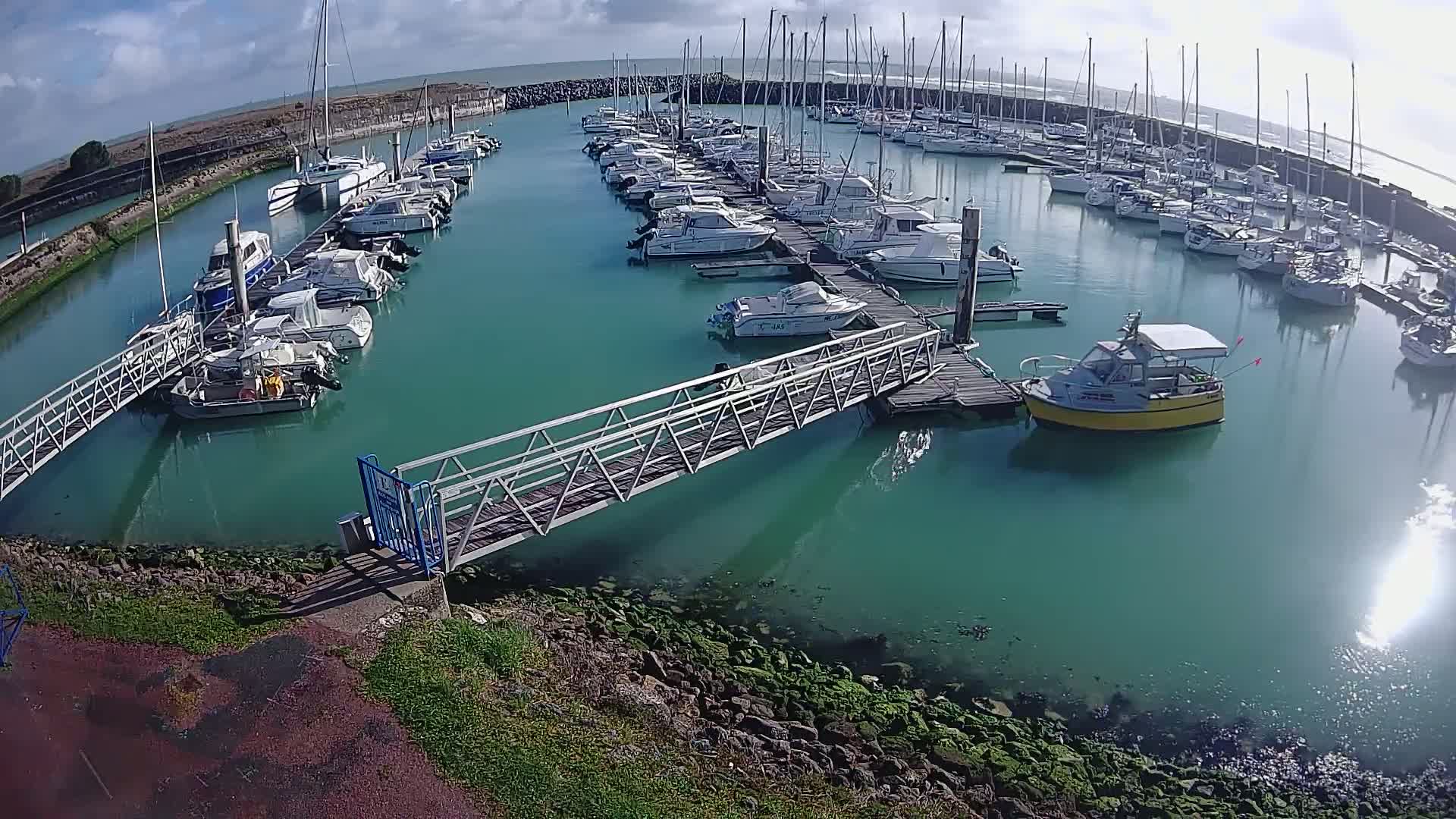 A marina filled with numerous sailboats and motorboats on a sunny day with calm, teal-colored water.