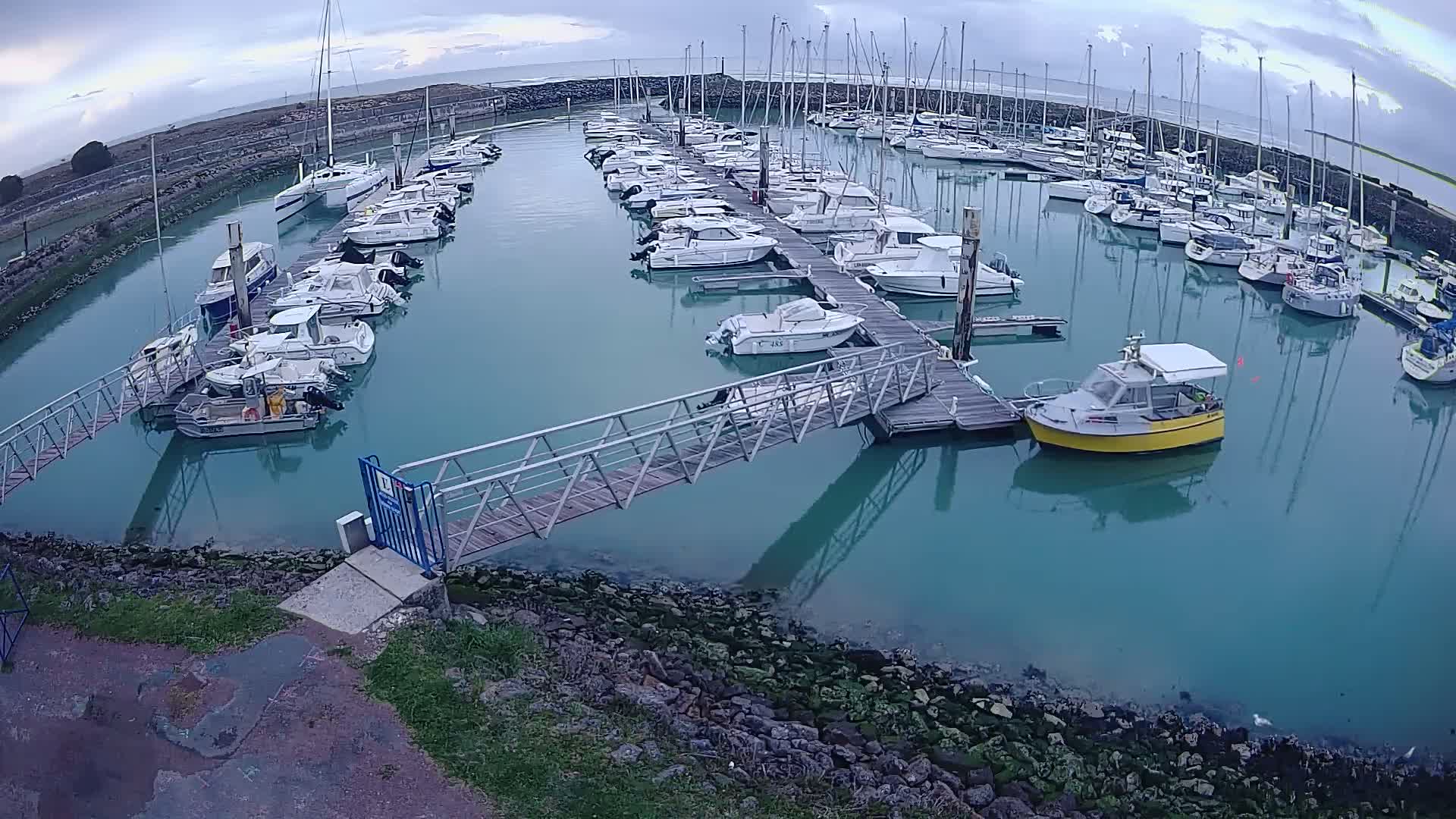 A marina filled with numerous boats of varying sizes, docked along several piers in calm, teal-colored water under an overcast sky.