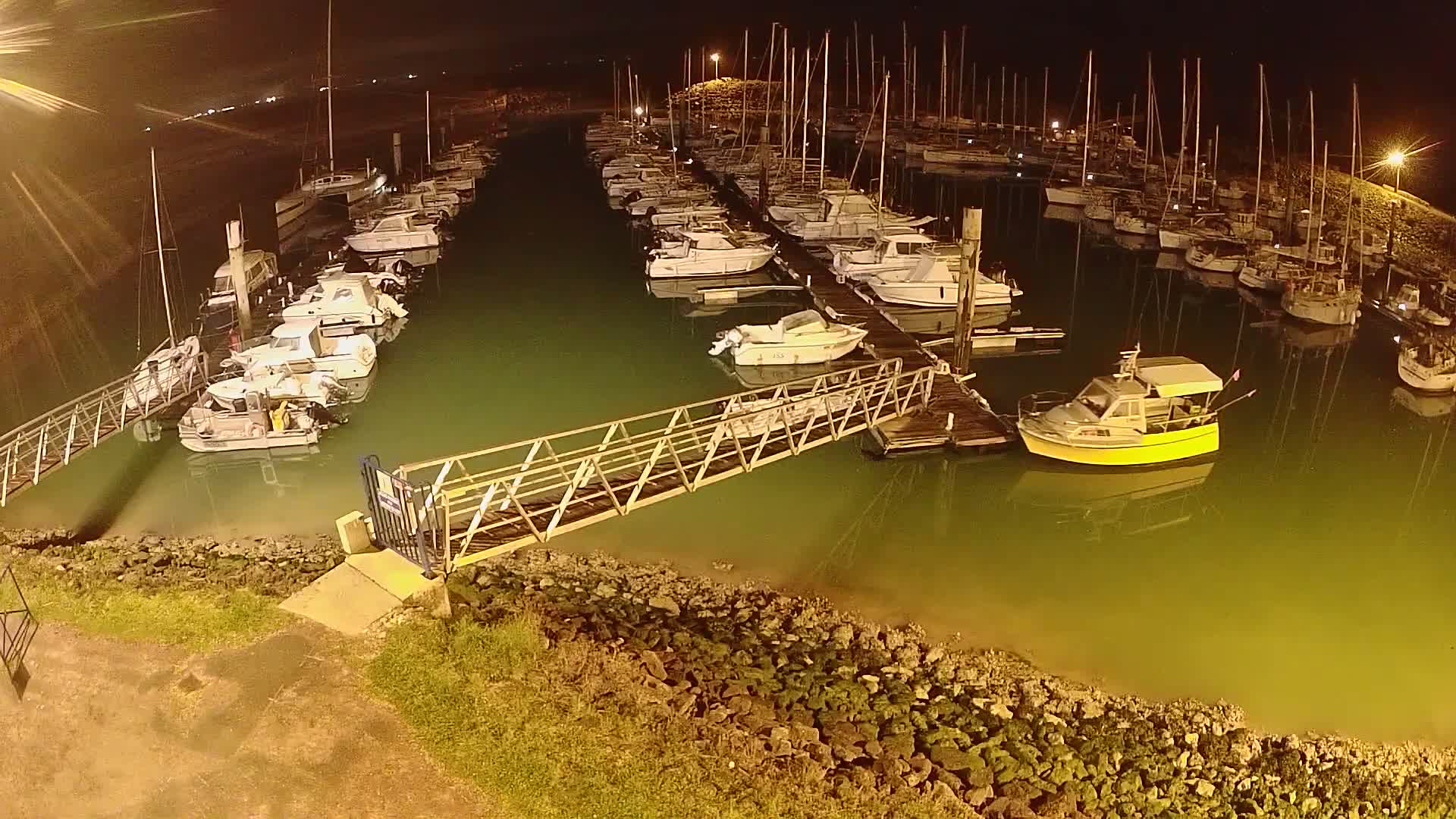 A marina at night with many boats docked along a pier, illuminated by artificial lights, in calm, greenish water.
